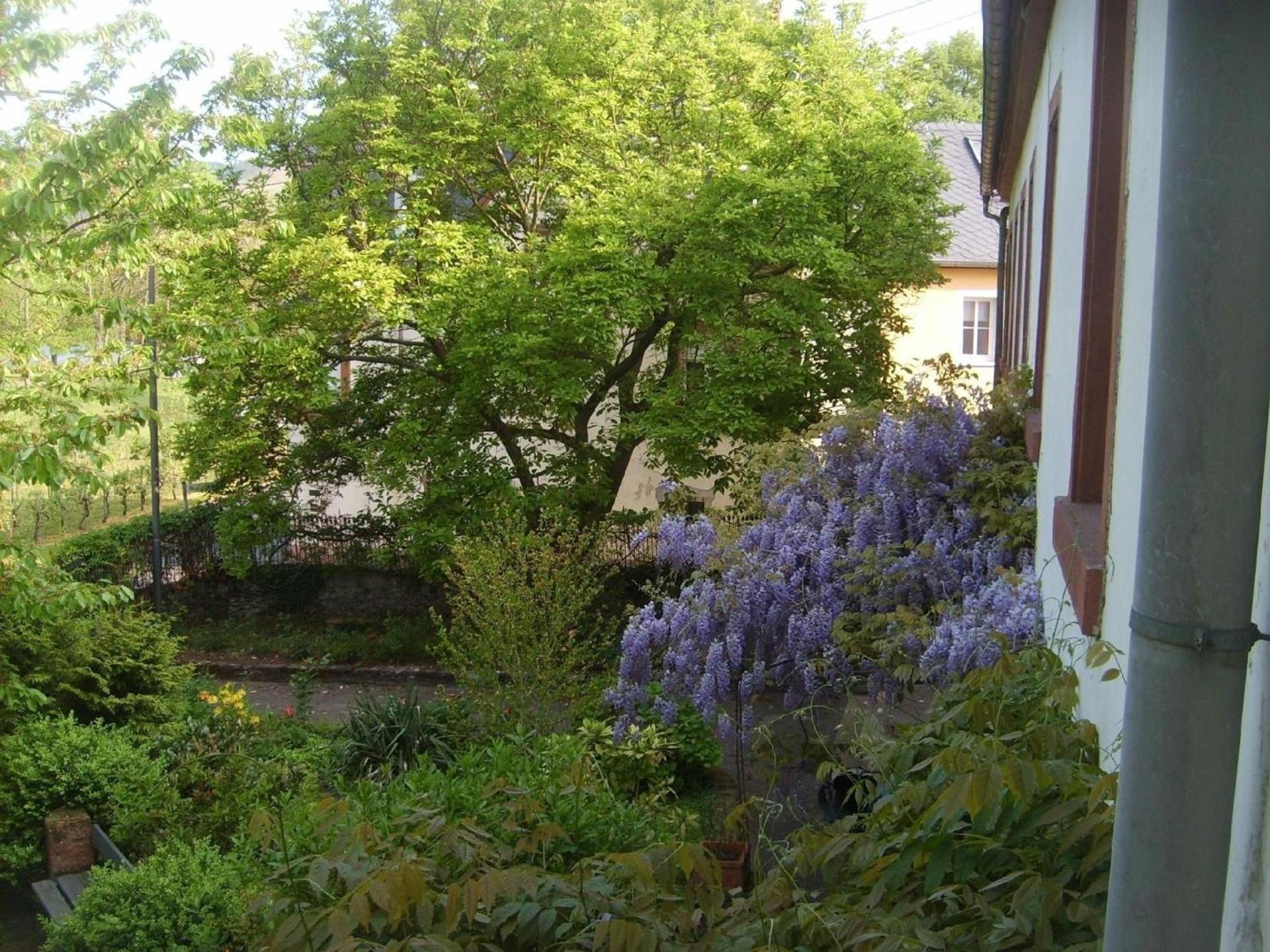 Ferienwohnung Mit Garten Und Parkplatz