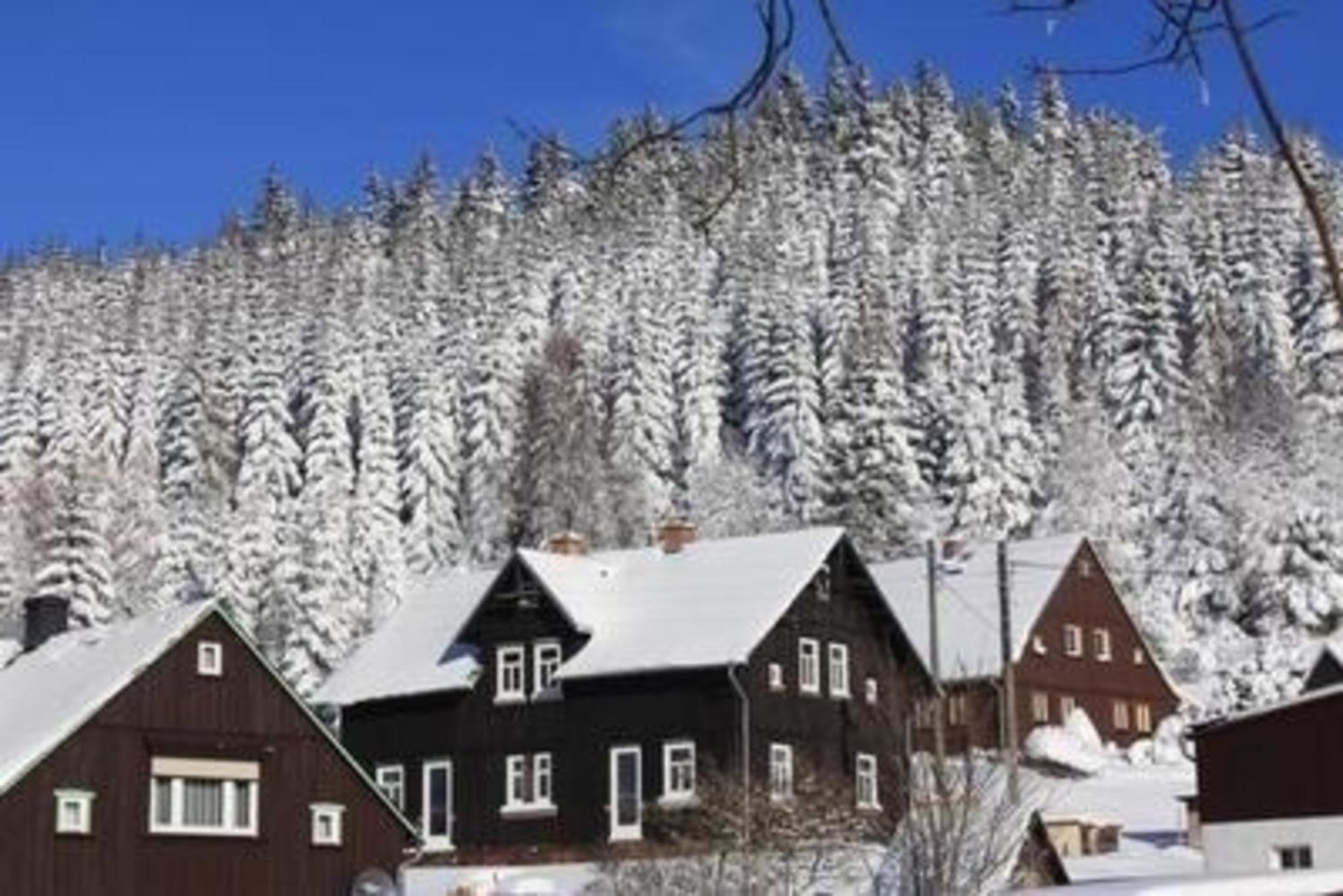Wohnung in Klingenthal mit Terrasse, Garten und Grill