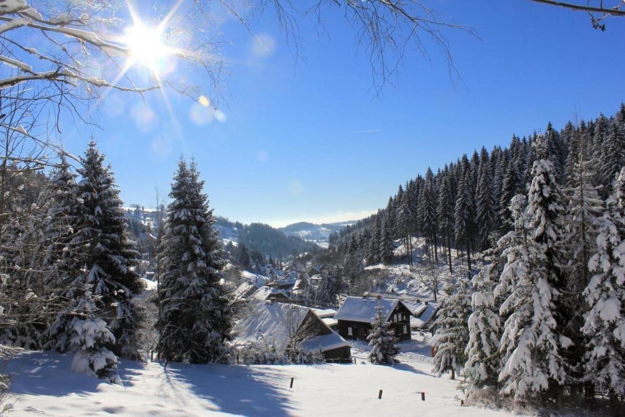 Wohnung in Klingenthal mit Terrasse, Garten und Grill