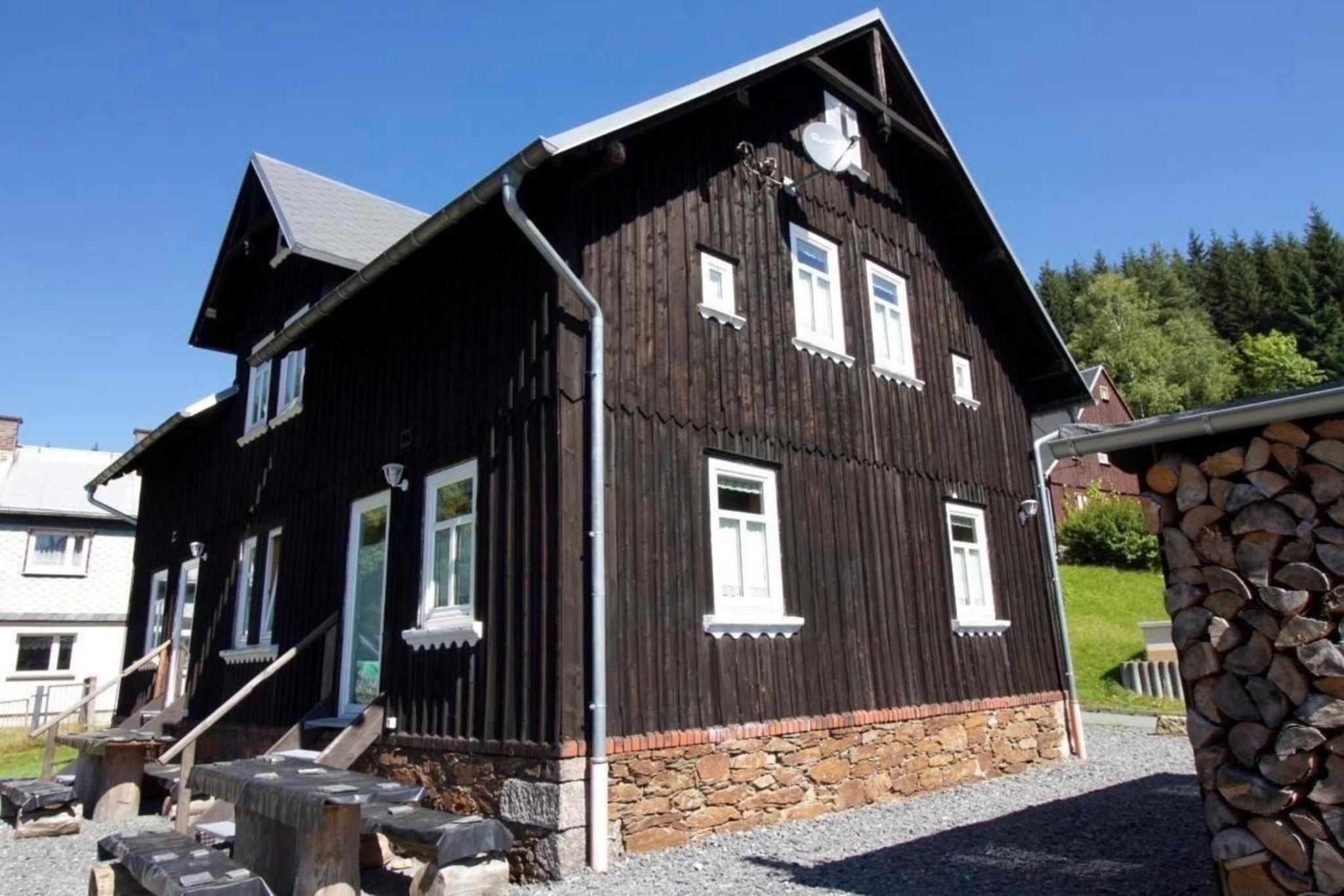 Wohnung in Klingenthal mit Terrasse, Garten und Grill