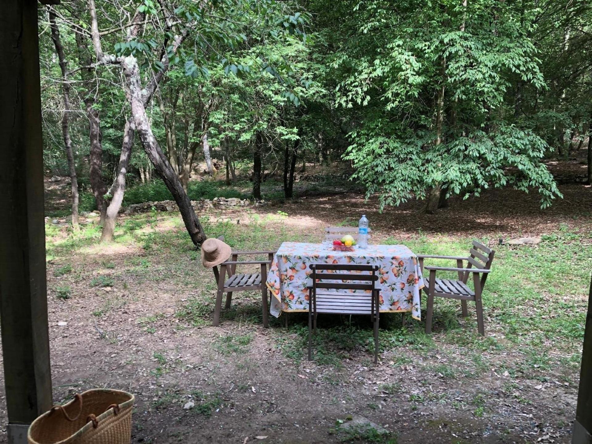 Ferienhaus Ciliegi in Ameglia