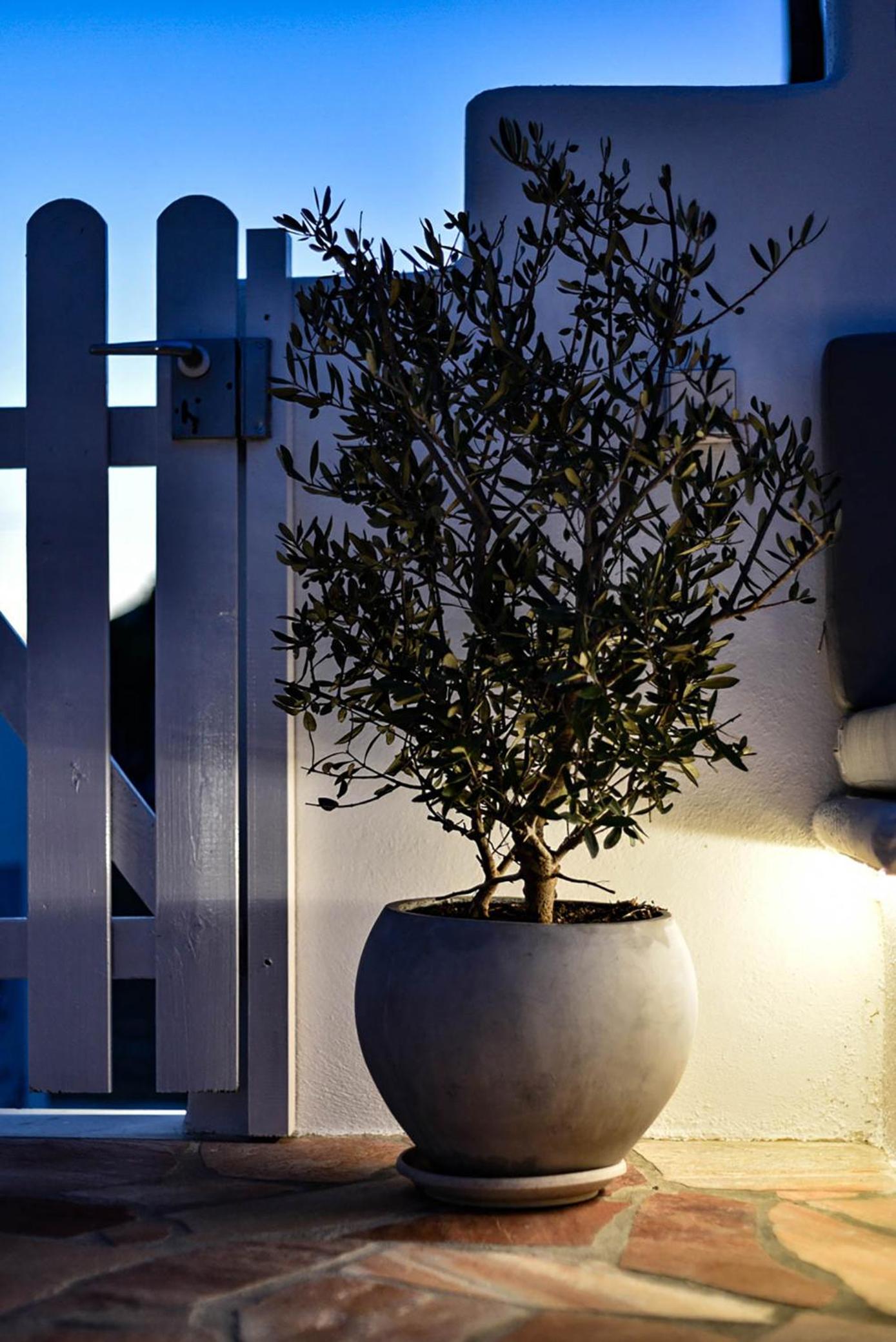 DP Homes Santorini photo 2