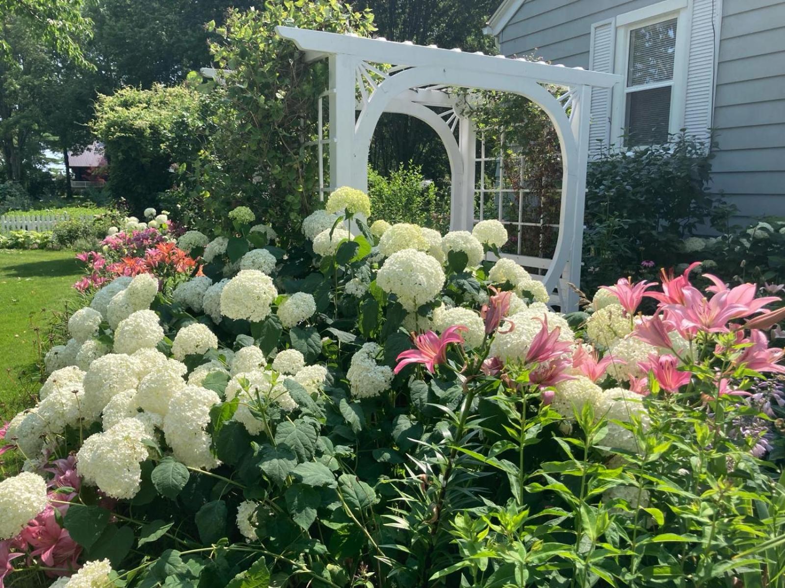 Glorious Gardens Bed and Breakfast