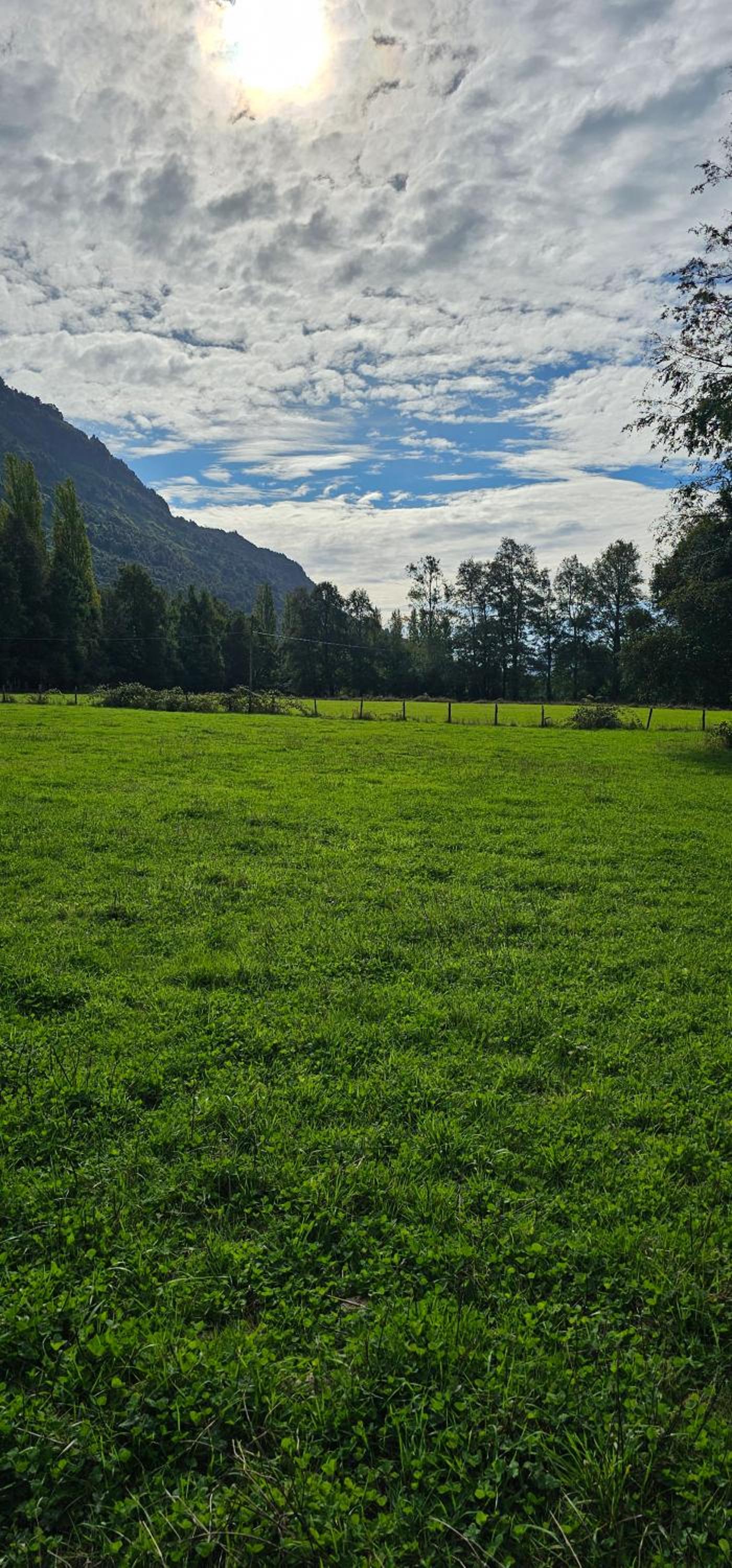 Cabañas Orillas Del Nilahue