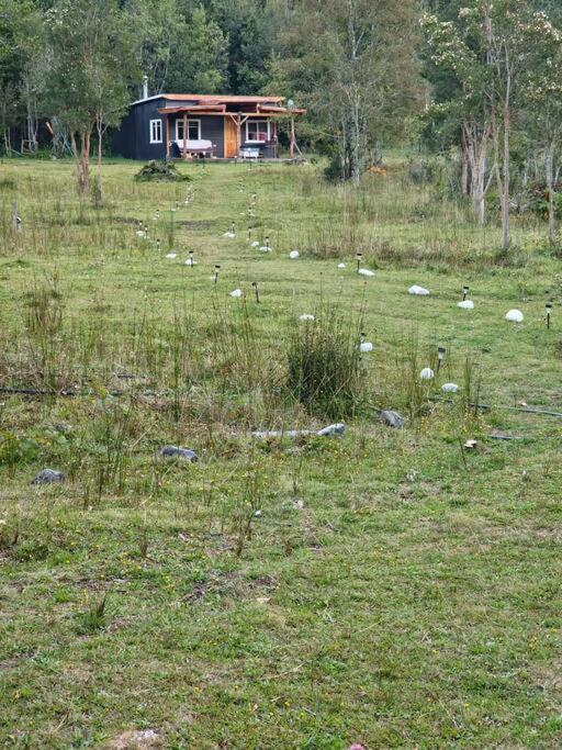 Cabañas Orillas Del Nilahue