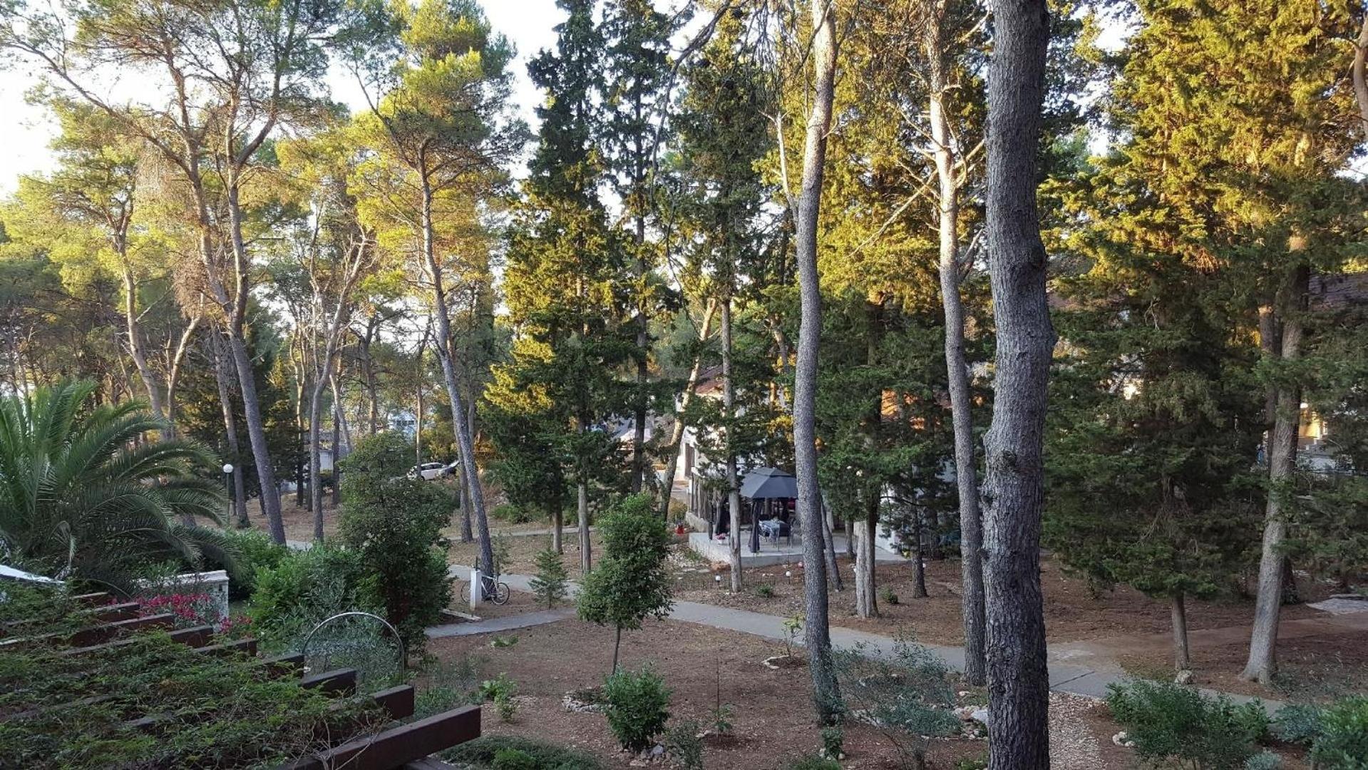 Apartment Bella Mit Balkon Und Terrasse In Necujam