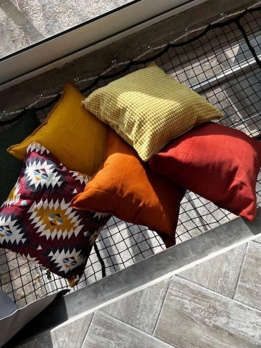 Loft moderno en medio del bosque
