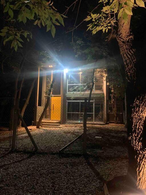 Loft moderno en medio del bosque