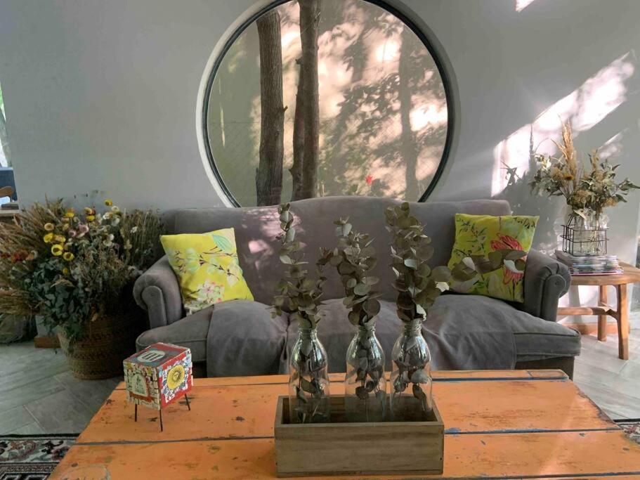 Loft moderno en medio del bosque
