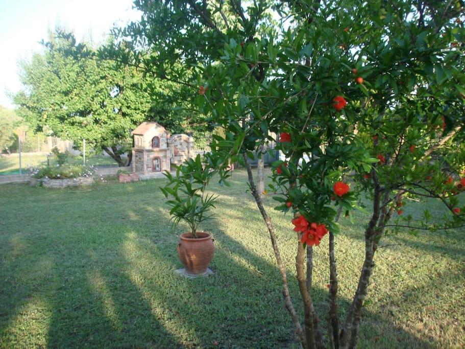 IDEAL FAMILY VACATIONS!!! view 5
