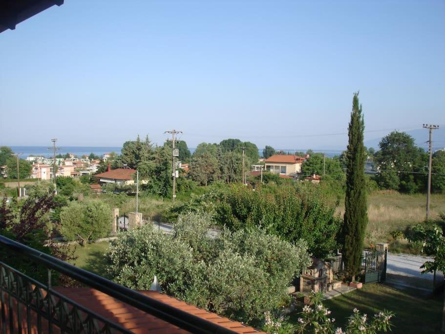 Photo 33