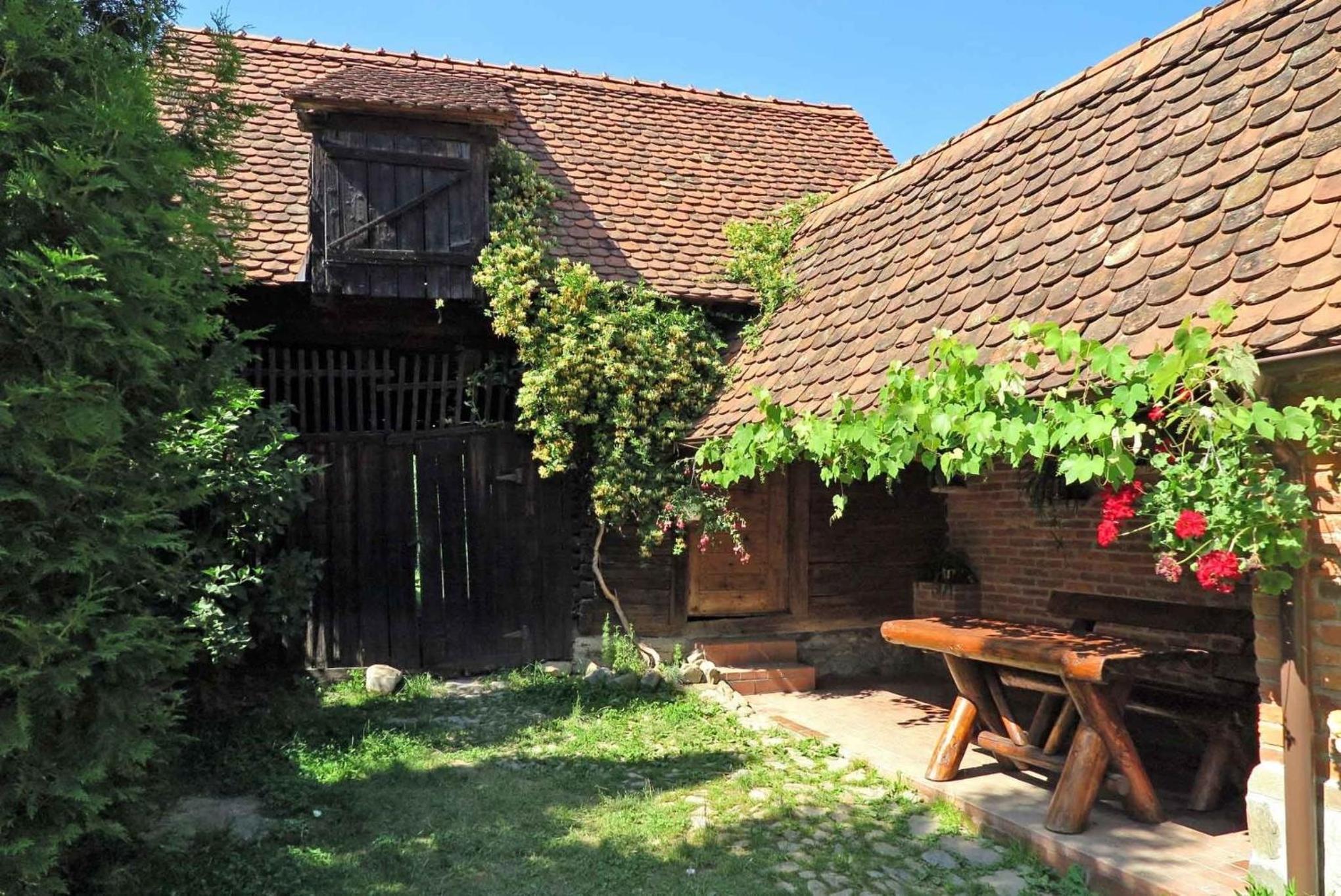 Photo 15