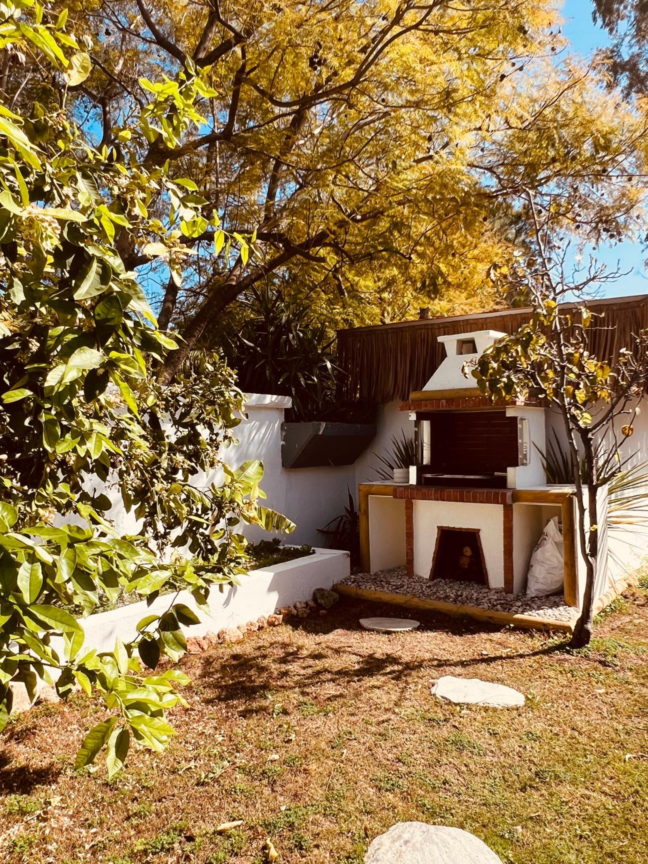 Photo 31