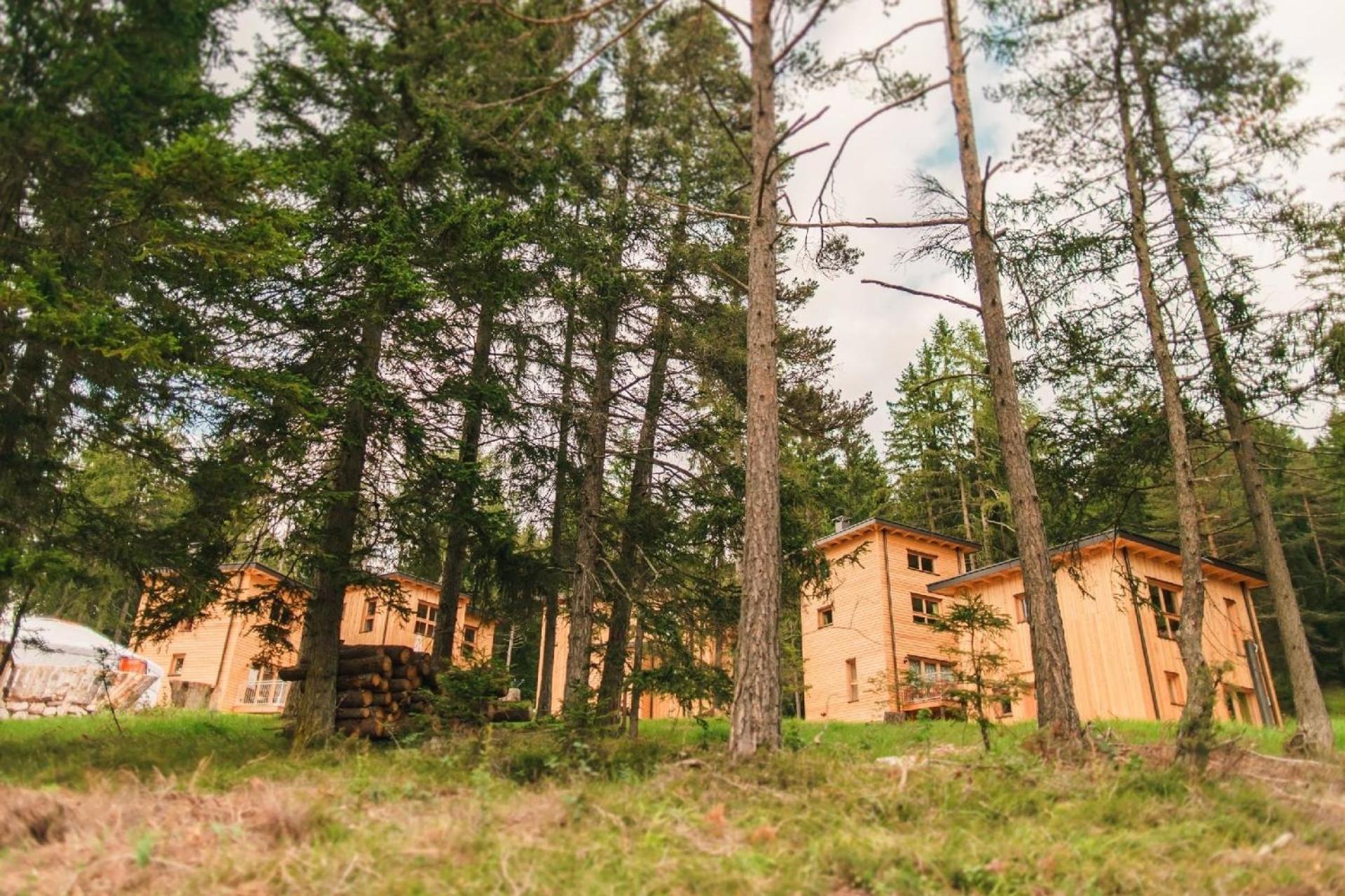 Chalet PINO view 2