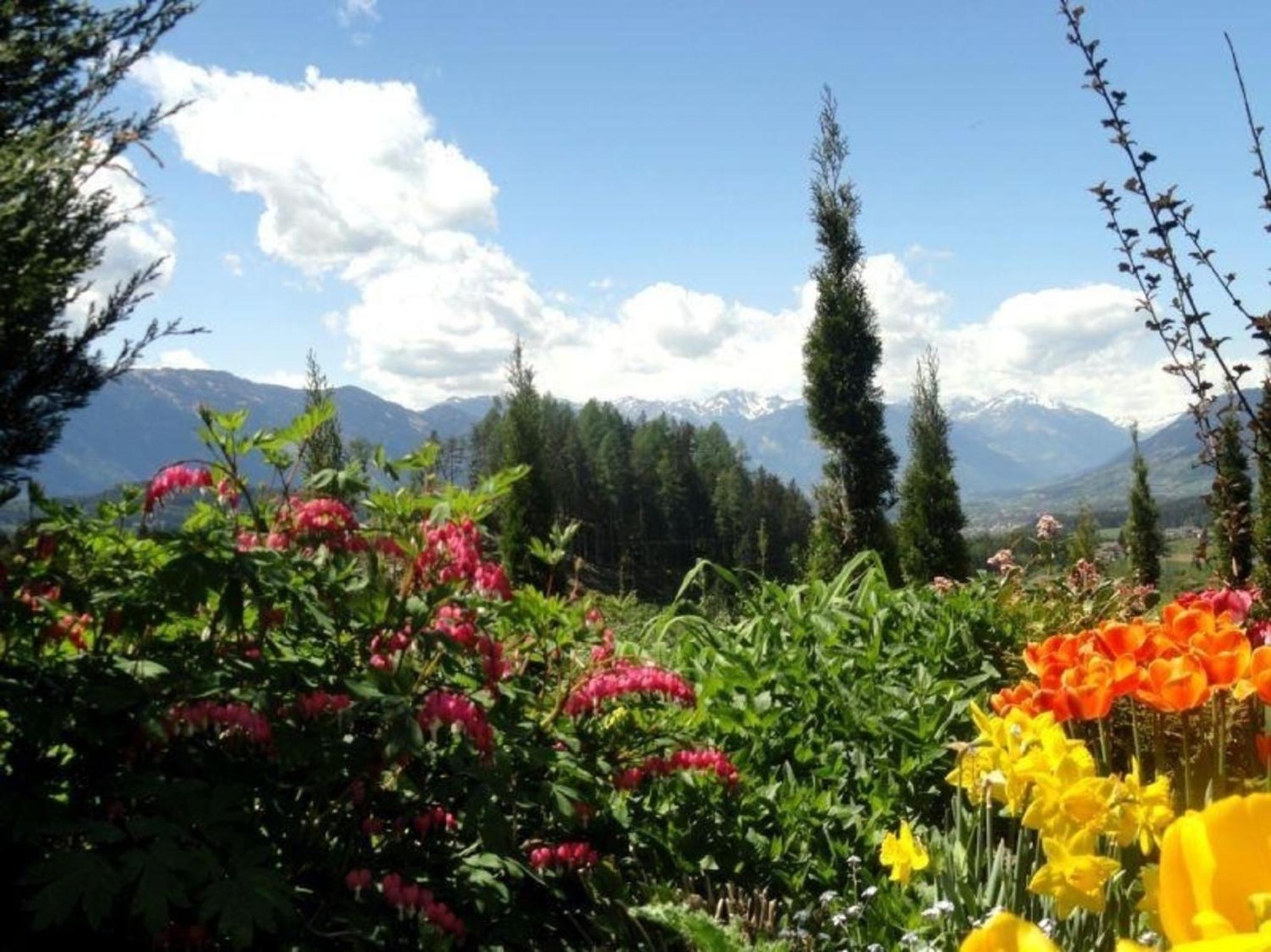 Ferienwohnung Salvia In Millstatt