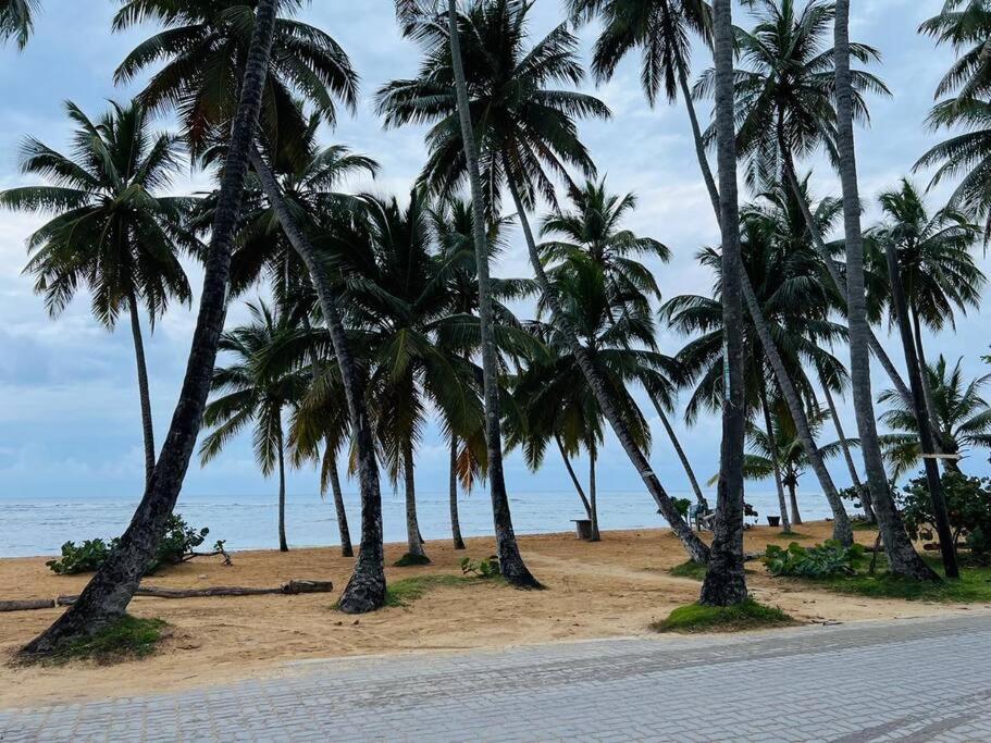 Acogedor apartamento en playa Las Ballenas