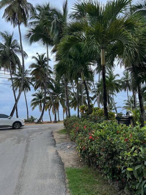 Acogedor apartamento en playa Las Ballenas
