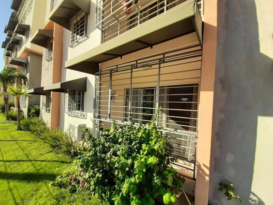 Comfortable Apartament