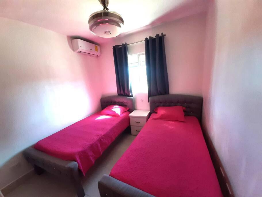 Comfortable Apartament