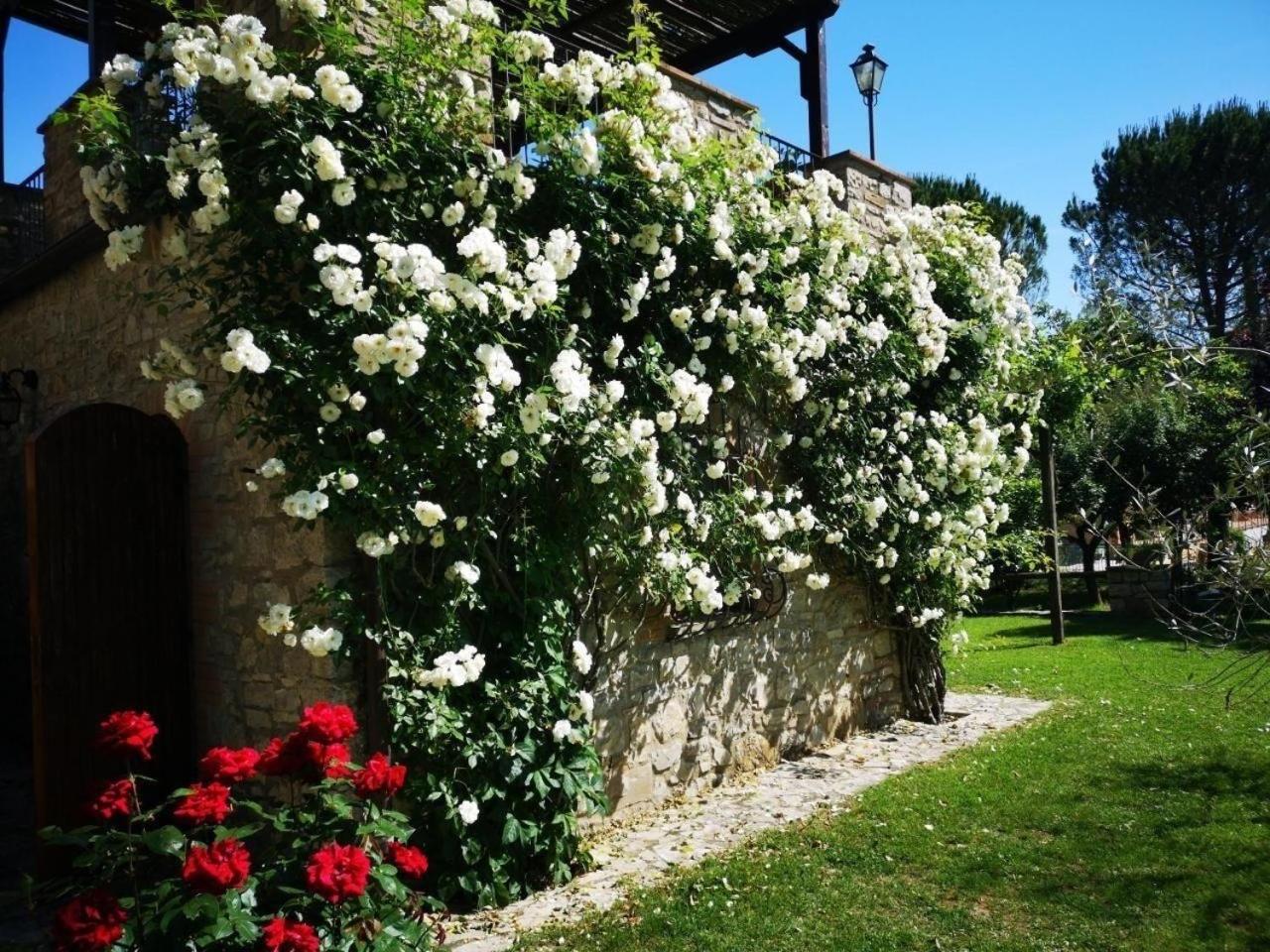 Ferienhaus in Rotecastello mit Grill, Terrasse und Garten view 3