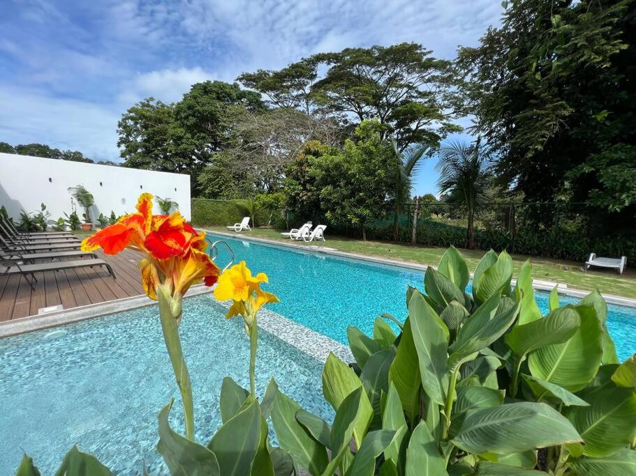 Jaco Oasis Beach House