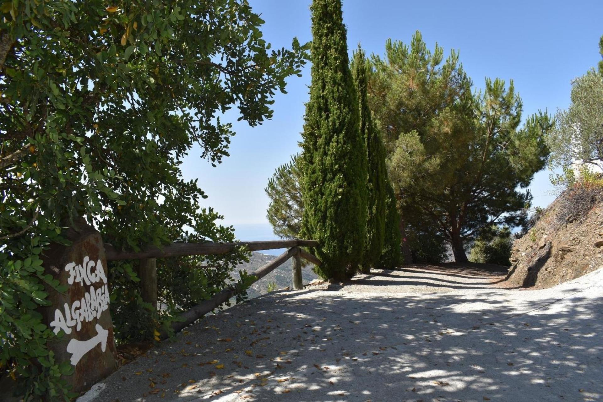 Finca Algarabia Mit Privatem Pool