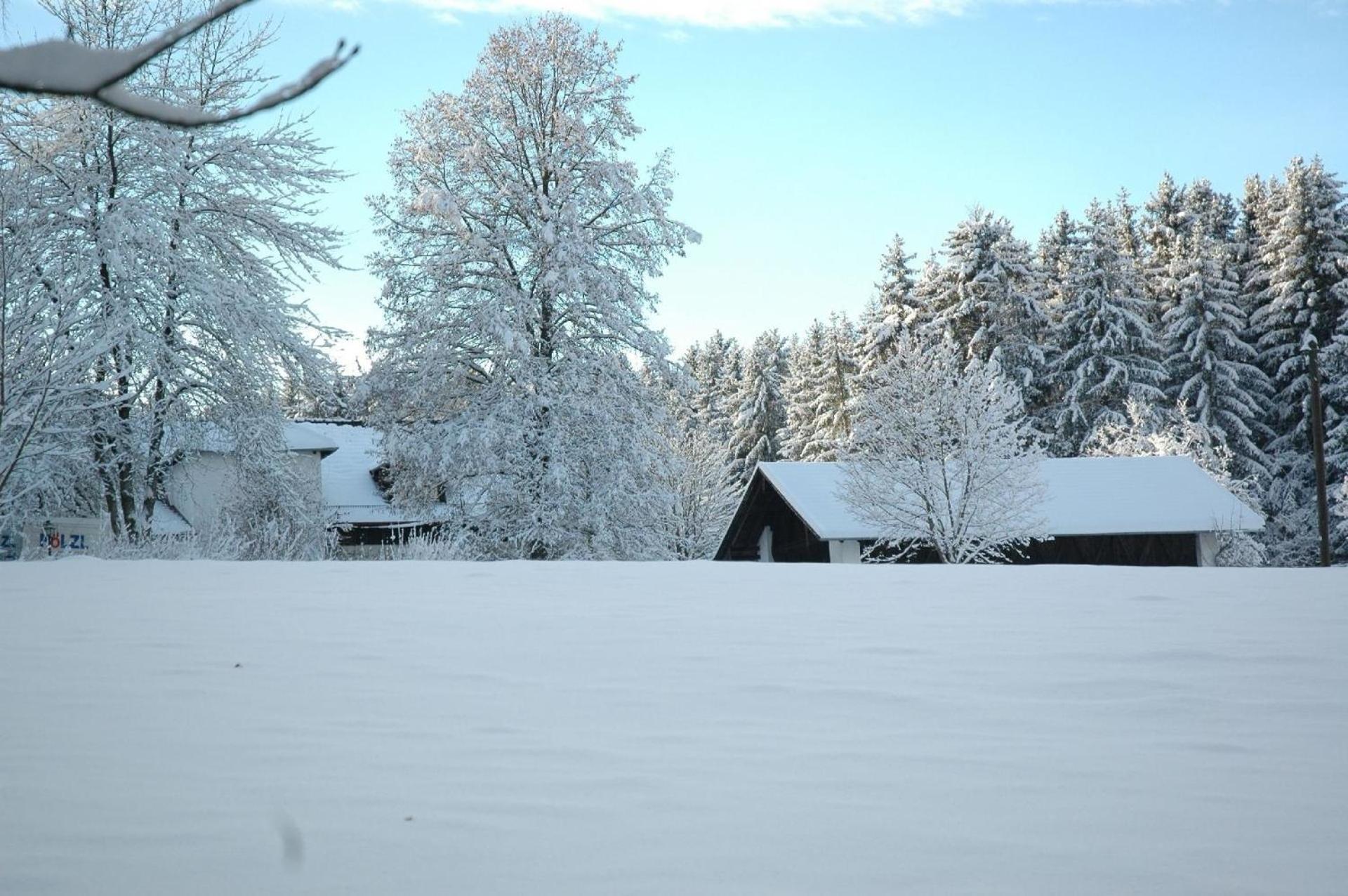 Ferienhaus für drei Personen mit Terrasse und eigenem Gartenanteil