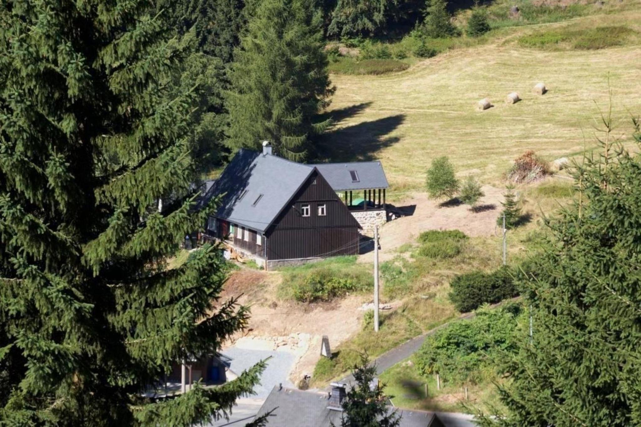 Ferienwohnung in Klingenthal mit Terrasse, Grill und Garten