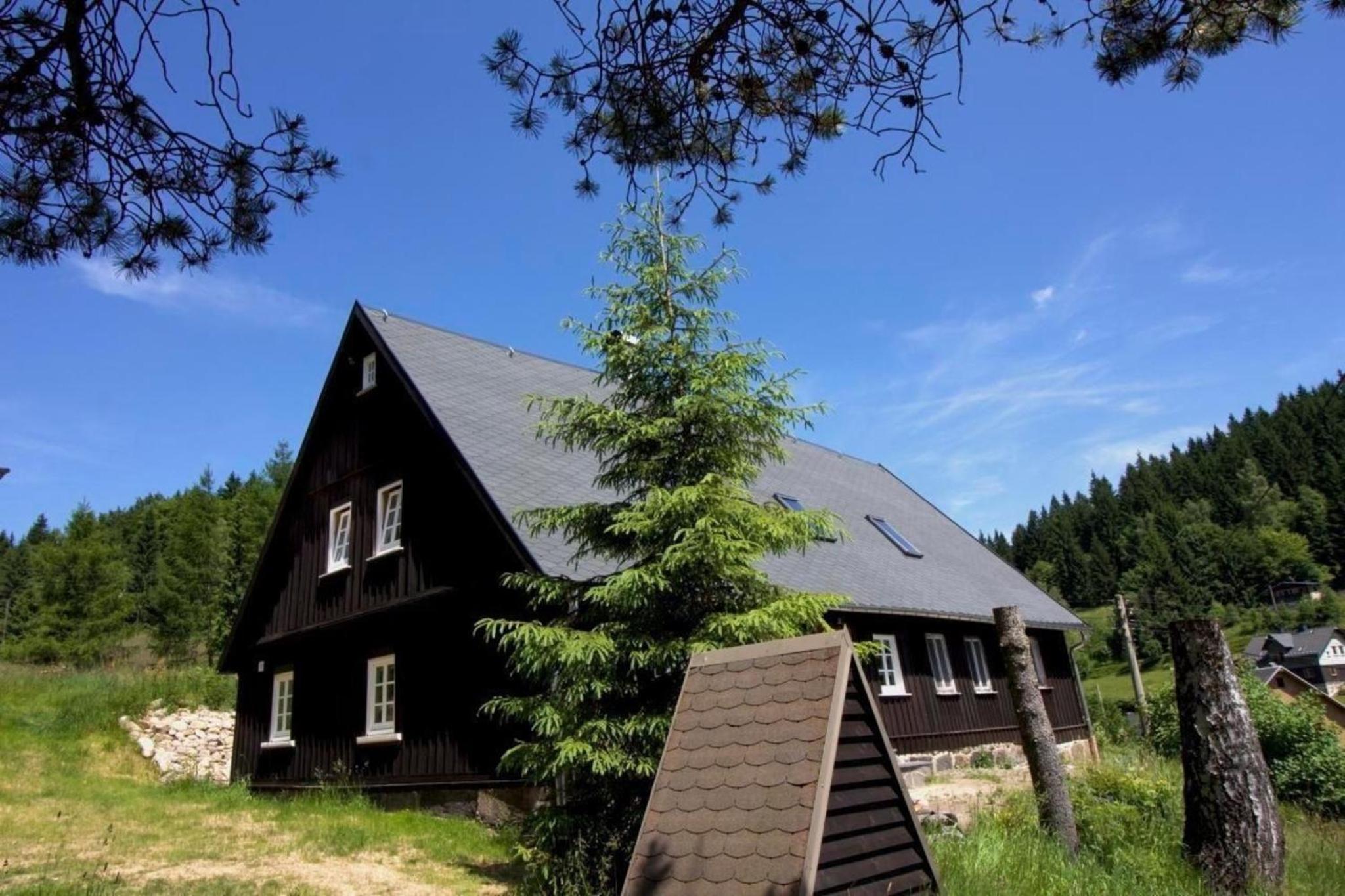 Ferienwohnung in Klingenthal mit Terrasse, Grill und Garten
