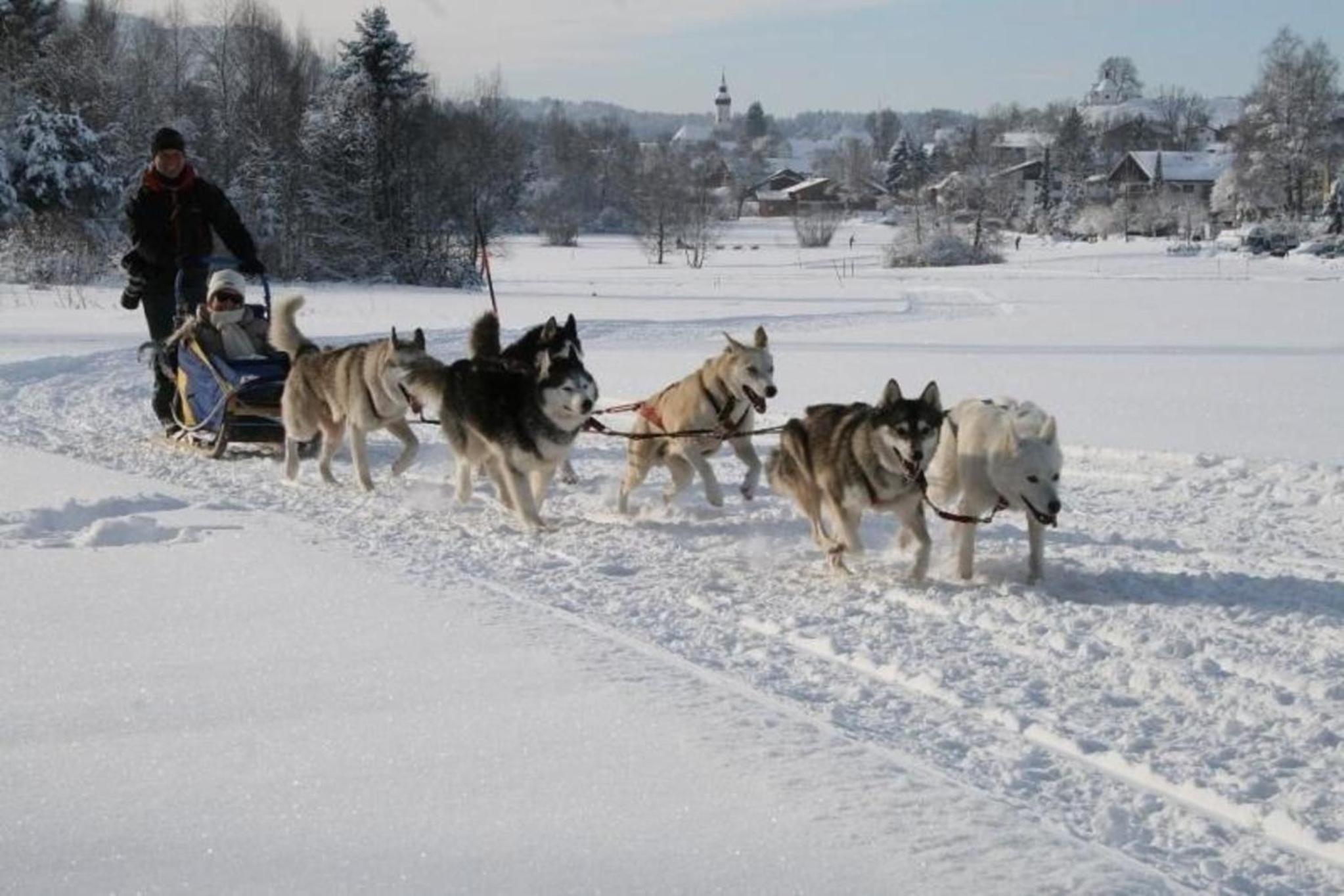 Bärli