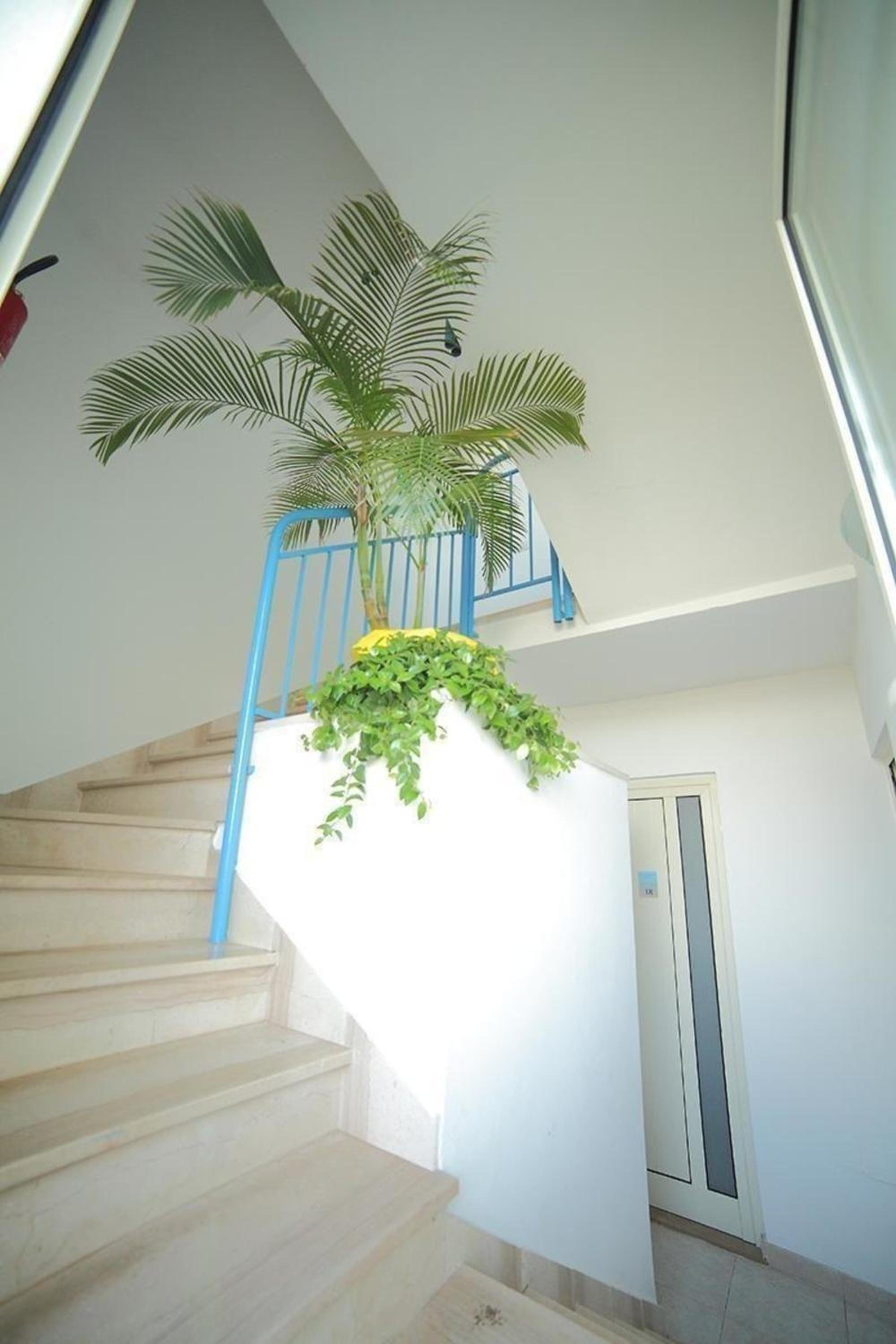 Ferienwohnung In Torre Mozza Mit Terrasse view 5