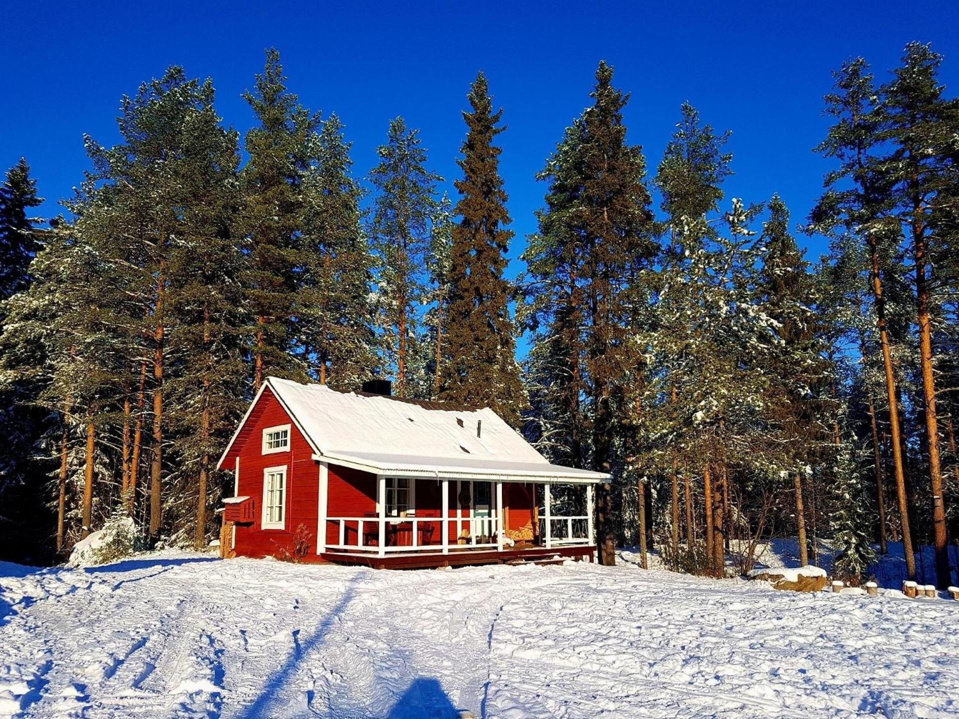 Charmantes Ferienhaus in der Wildnis Lapplands view 4