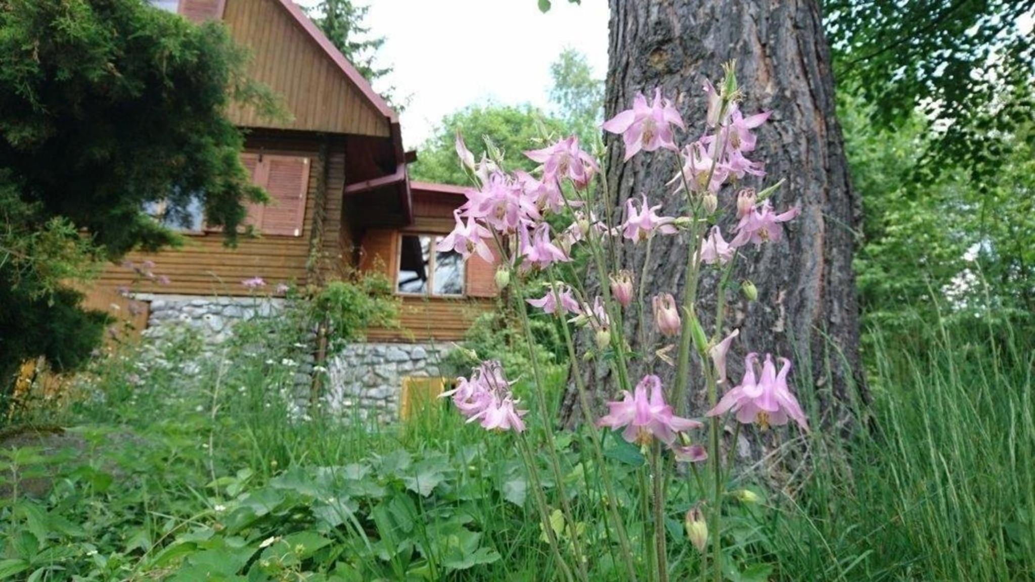 Ferienhaus direkt am See mit Garten und Parkplatz