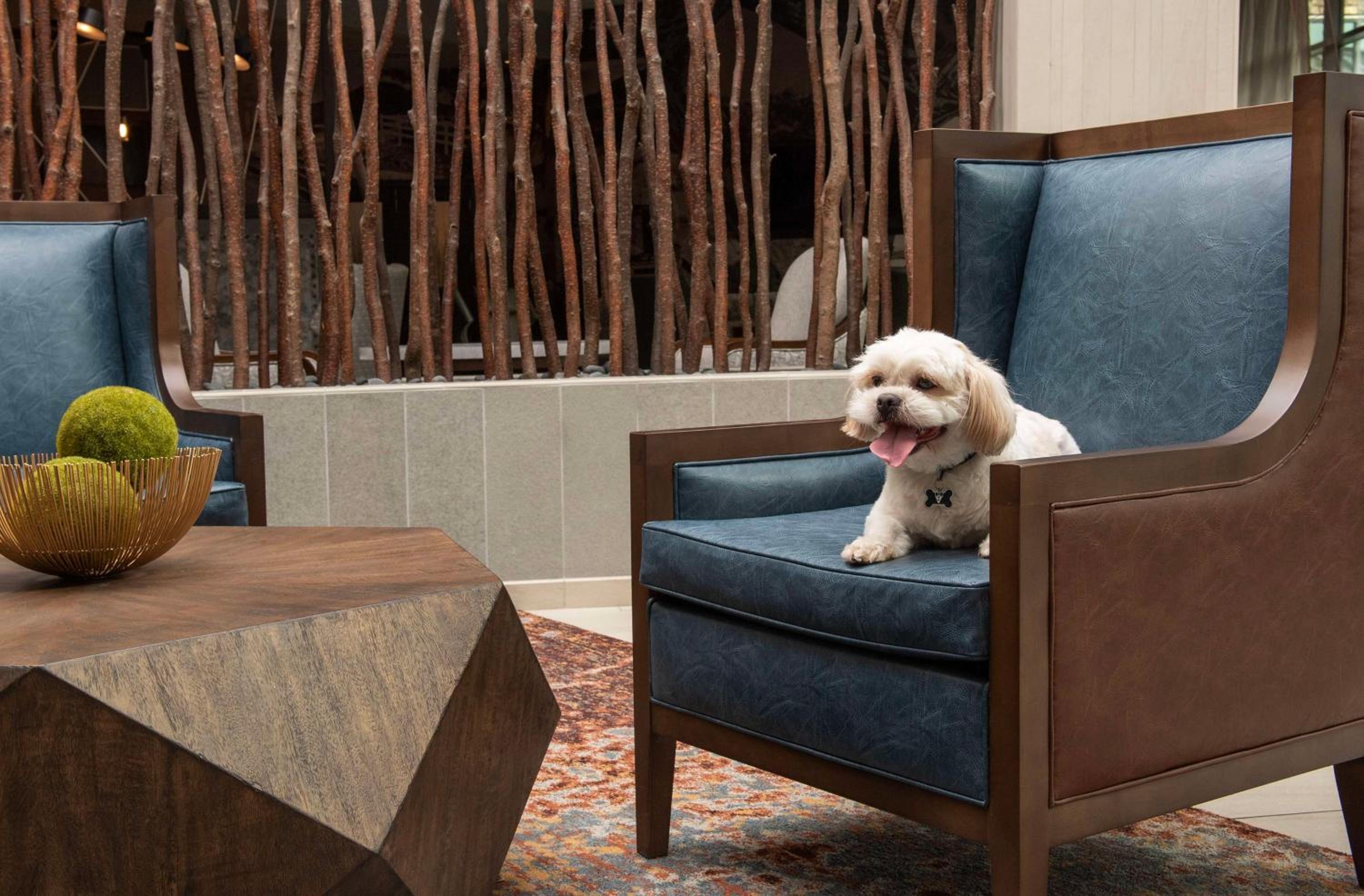 Springfield Vacations - Embassy Suites Springfield - Property Image 2