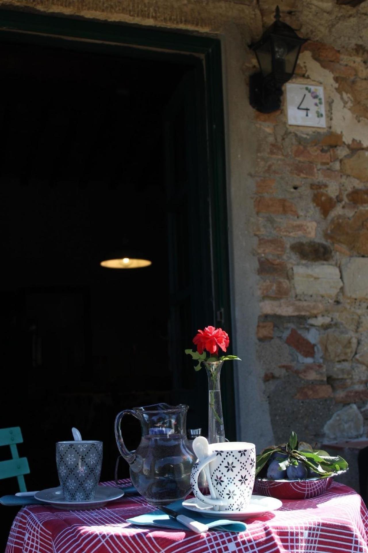 Große Wohnung in Castellina Marittima mit Privatem Garten - a88443