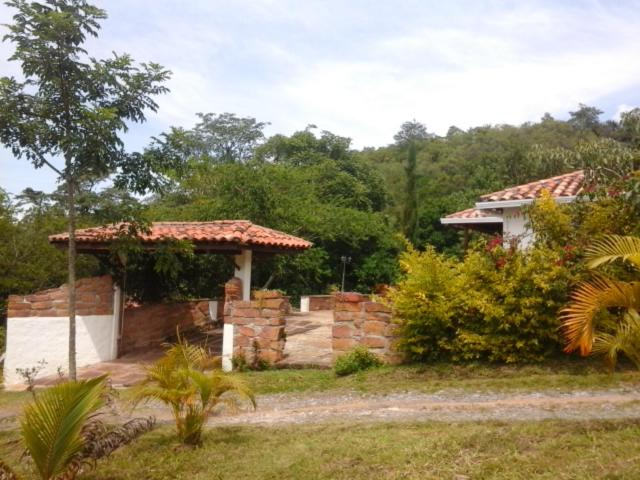 Villa Helena