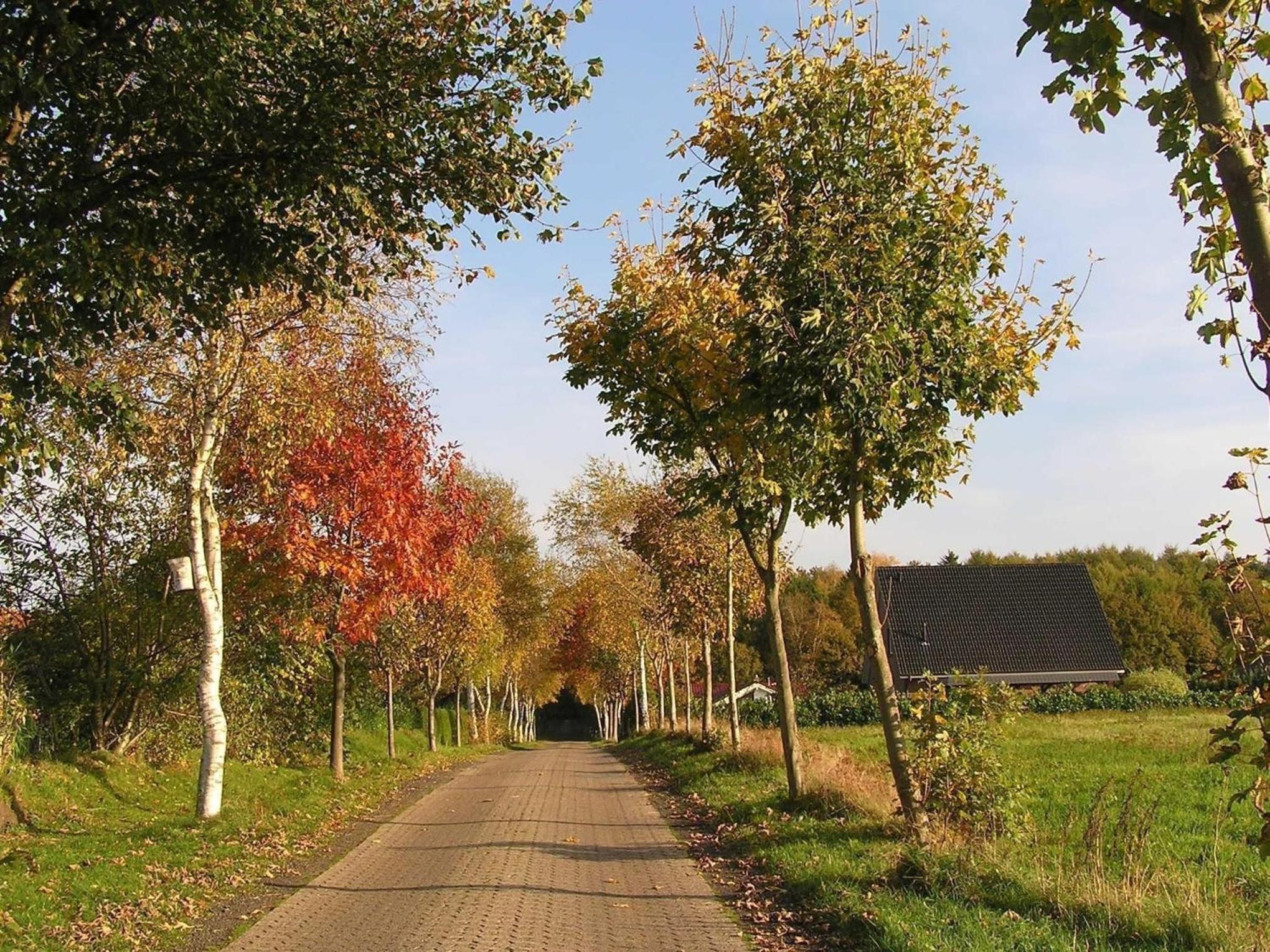 Gemütlicher Ferienbungalow mit Garten