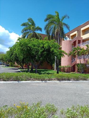 New Kingston - One Bed Room Brompton view 5