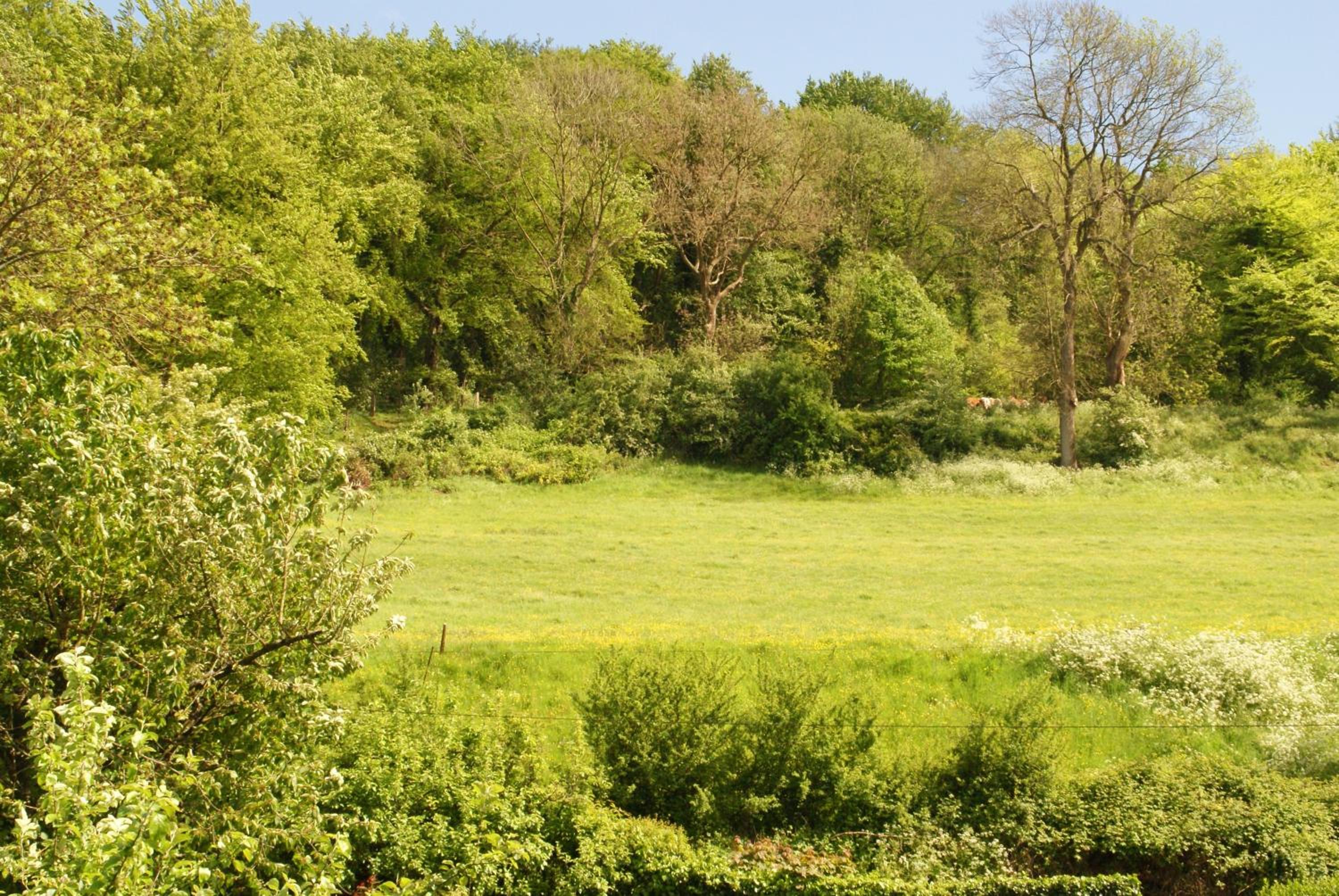 Le Gîte De Malaunay view 5