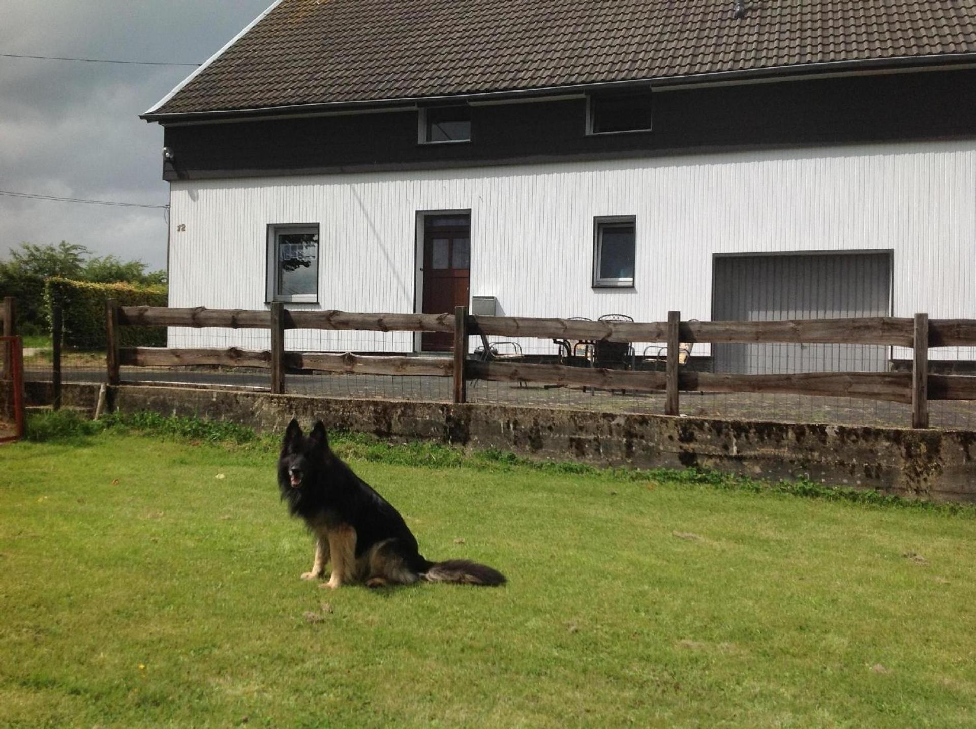 Ferienhaus in Kalterherberg mit Terrasse, Grill und Garten - b48697