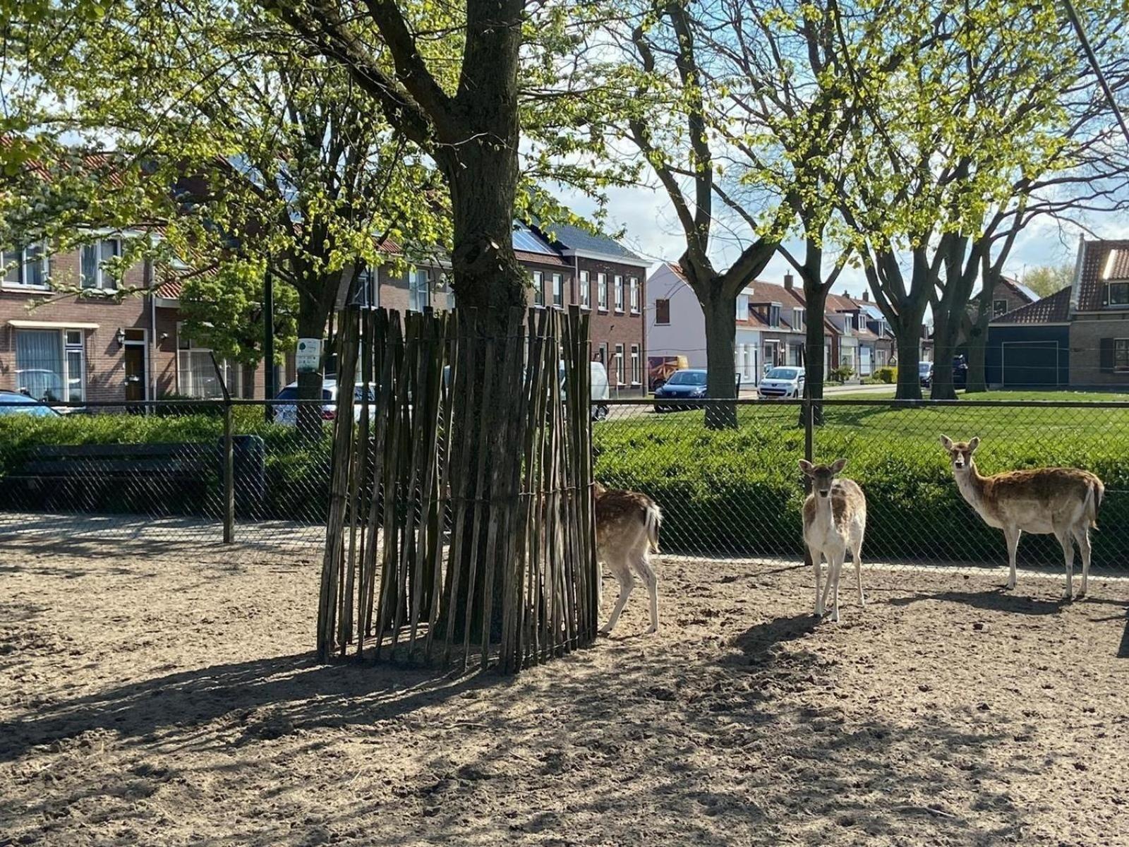 Ferienhaus für 4 Personen ca 65 qm in Stavenisse, Zeeland Küste von Zeeland view 4