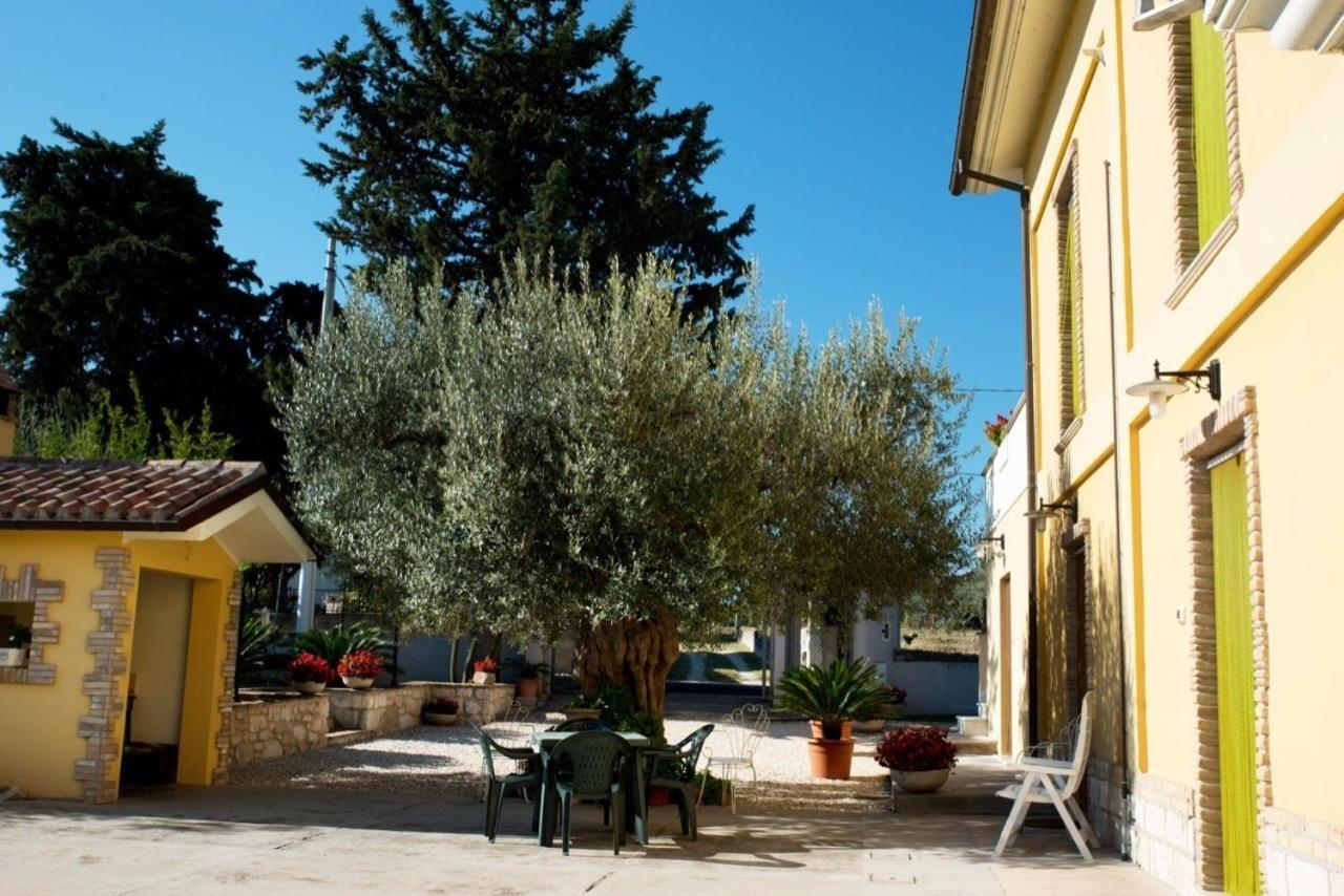 Agriturismo Il Casolare Di Nonno Mario
