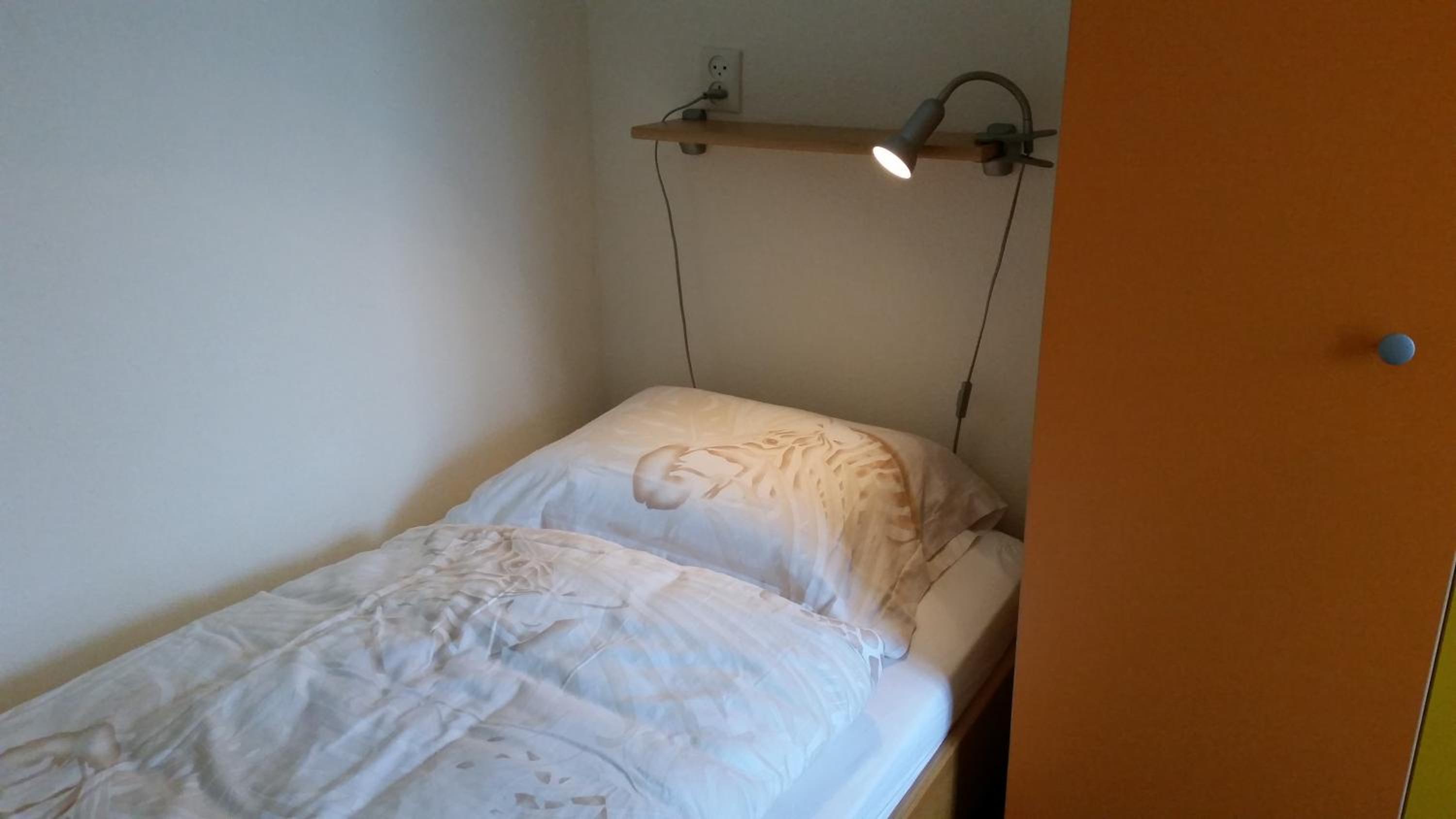 Photo 7