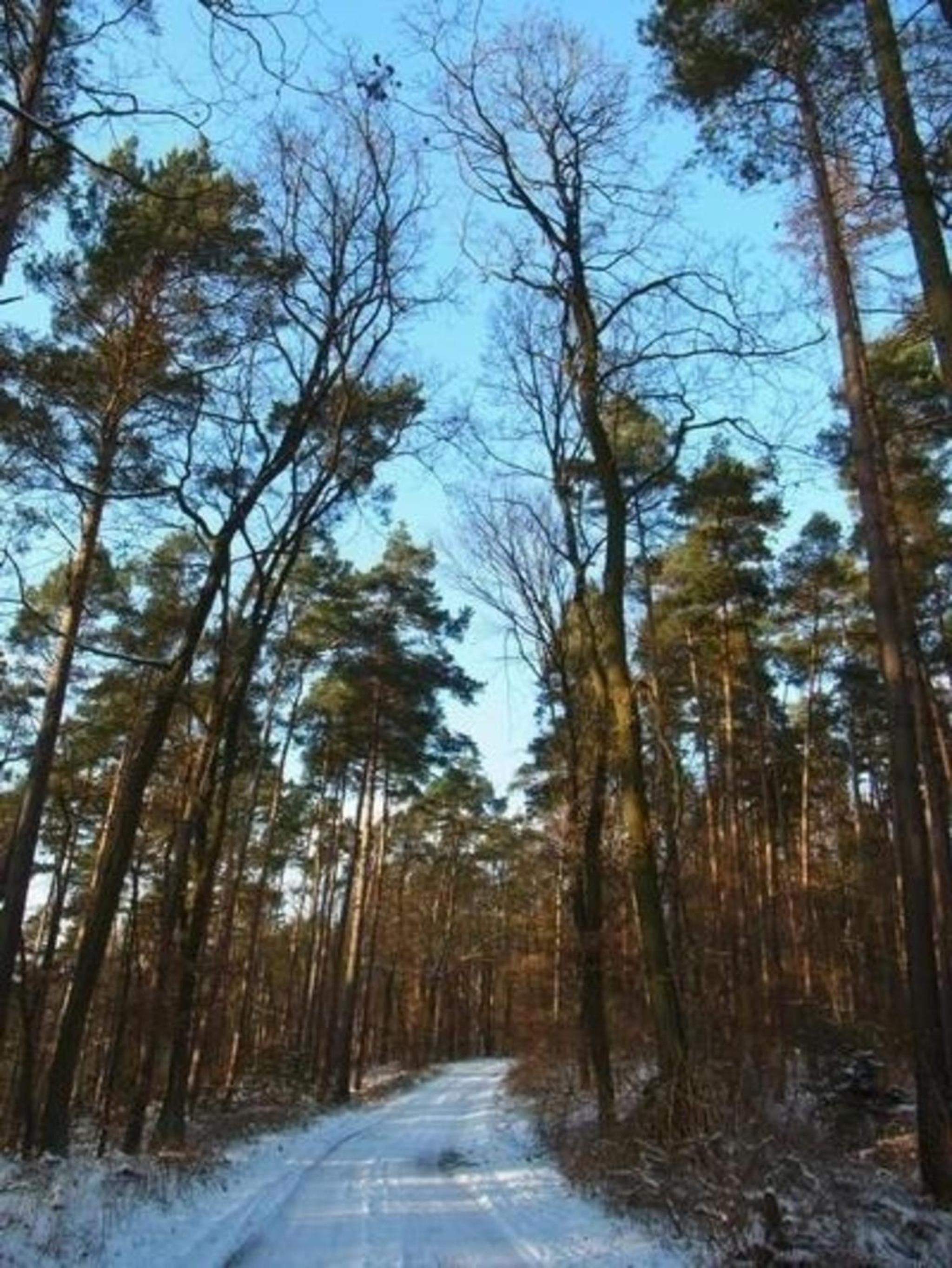 Landleben