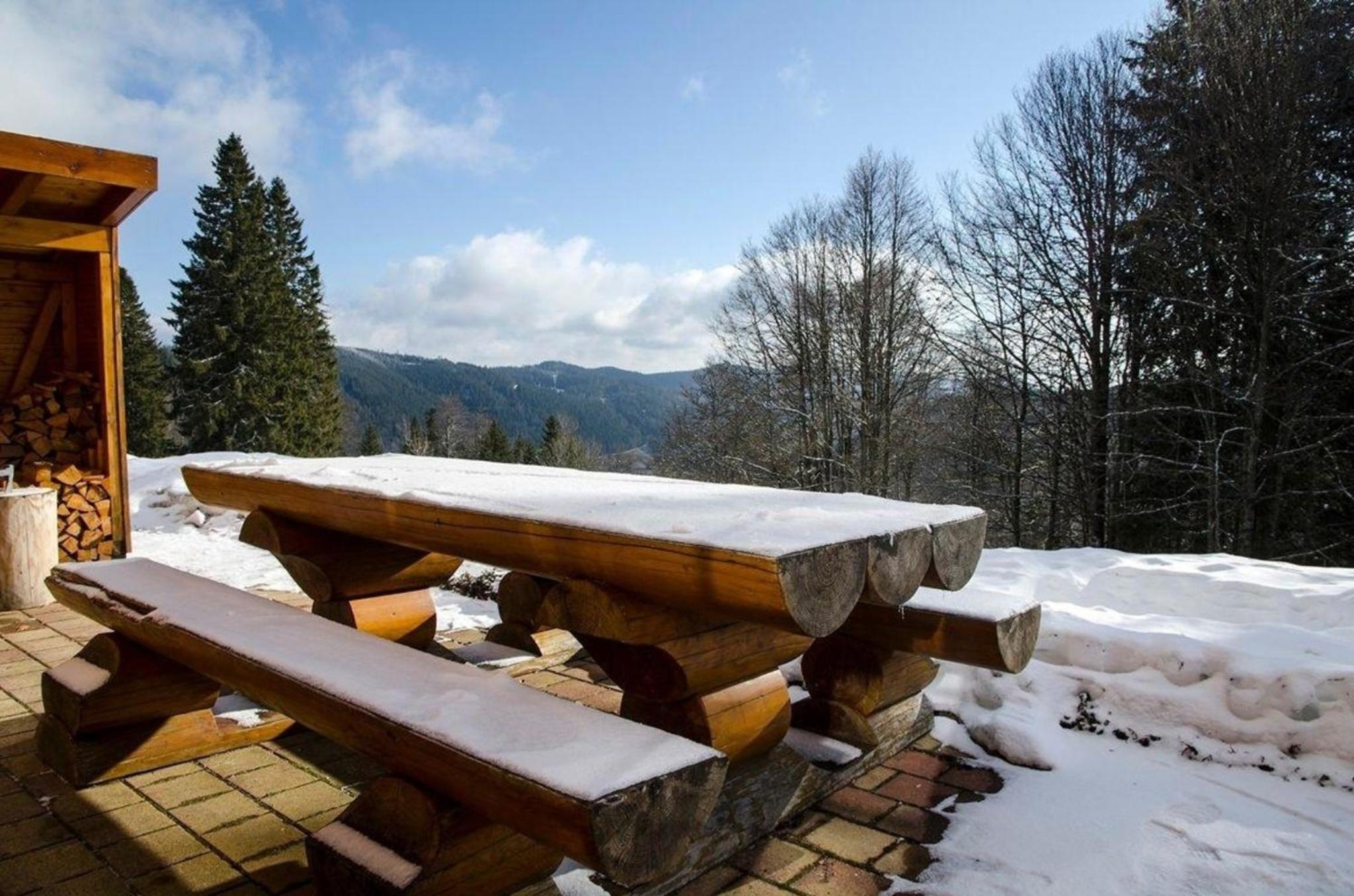 Ferienhaus in Feldberg Schwarzwald mit Privatem Pool