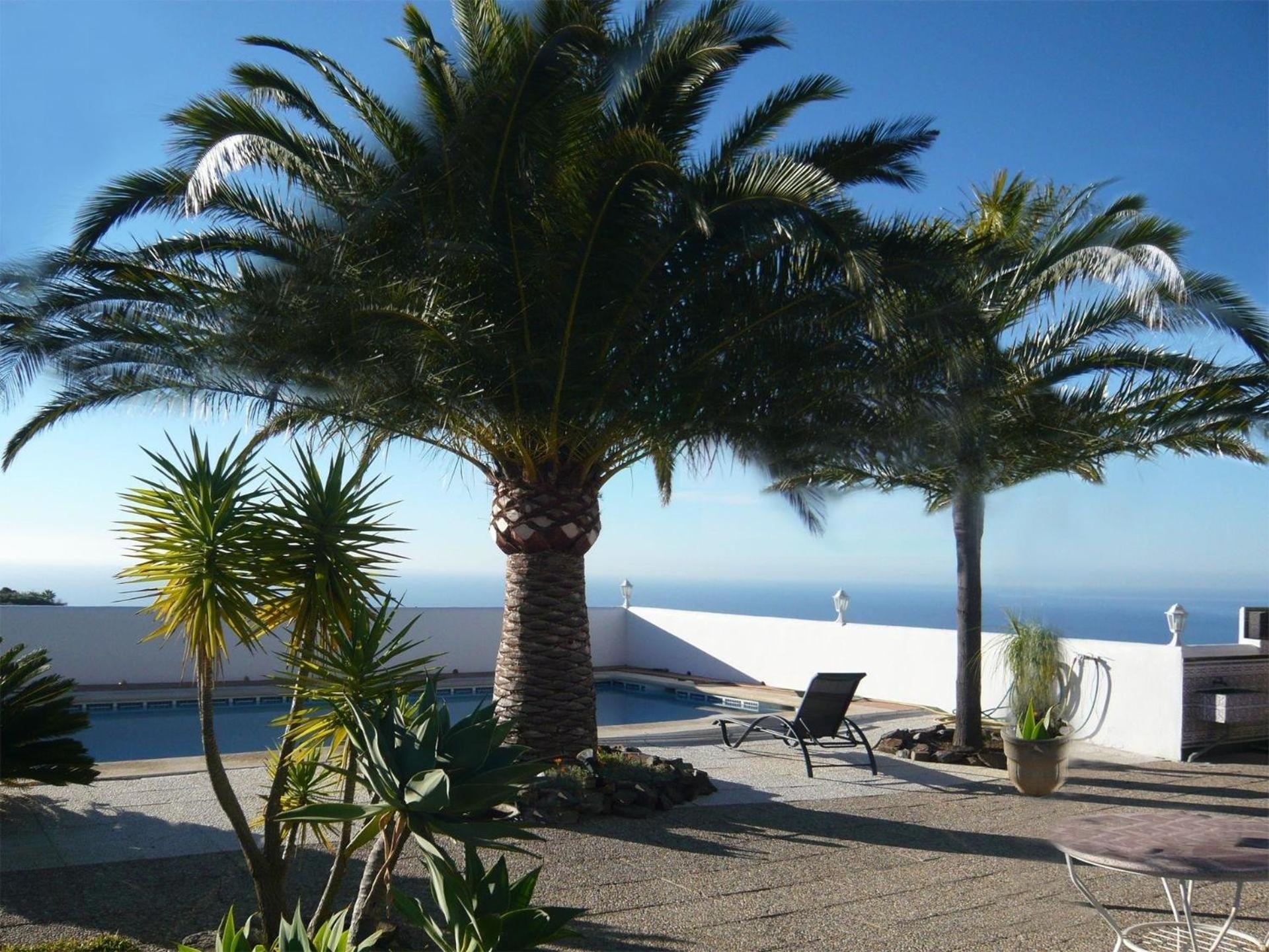 Casa Palmeras In Sayalonga Mit Gepflegtem Garten