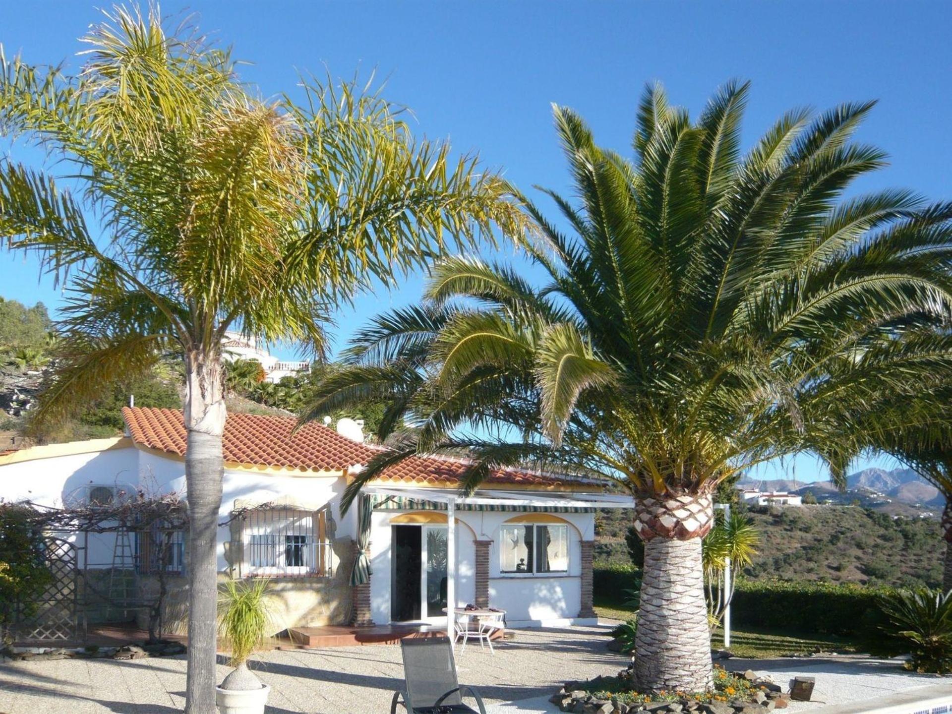 Casa Palmeras In Sayalonga Mit Gepflegtem Garten