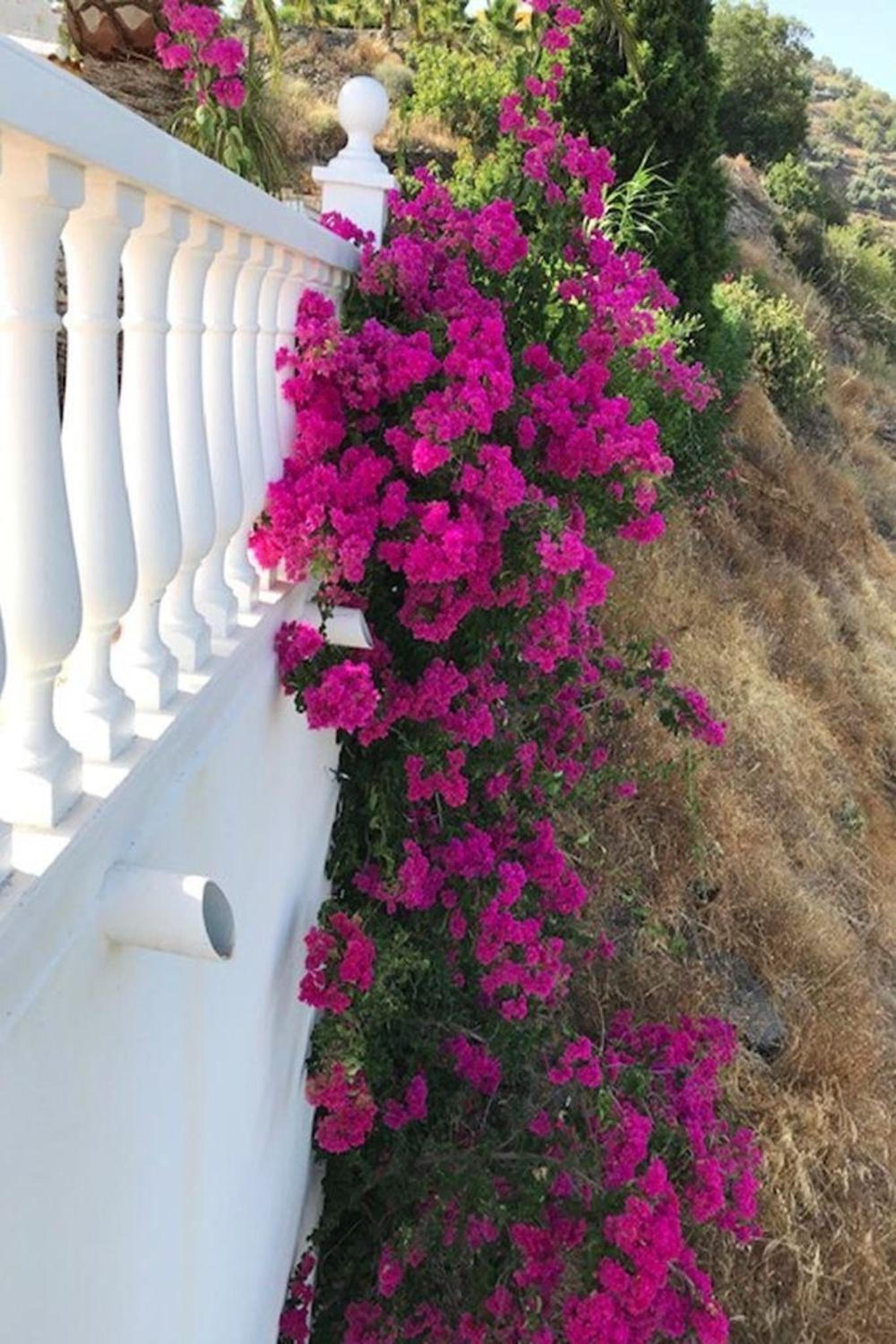 Casa Palmeras In Sayalonga Mit Gepflegtem Garten