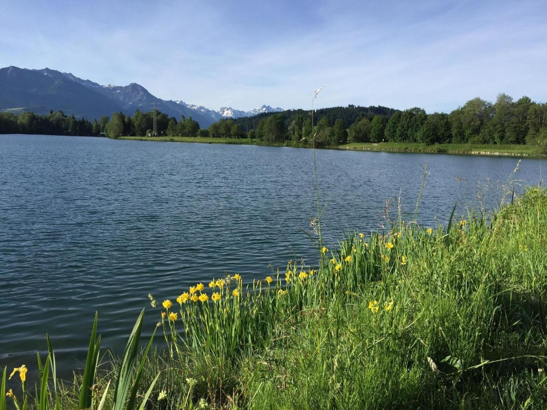 Fewo Bergblick Lodge