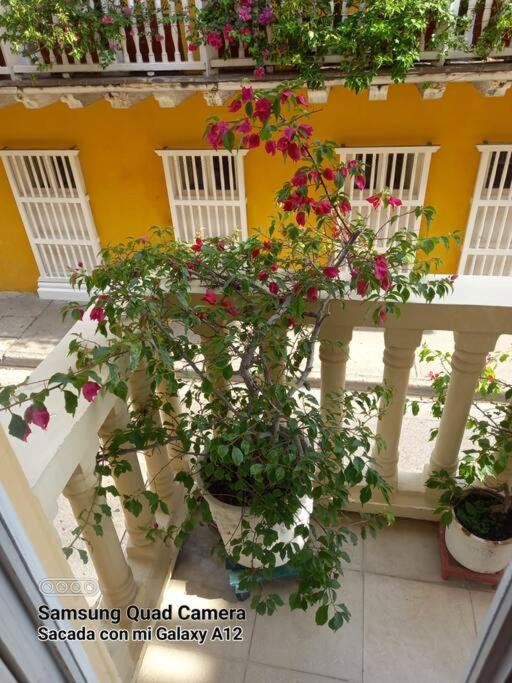Apartamento junto al Mar en Centro Histórico .